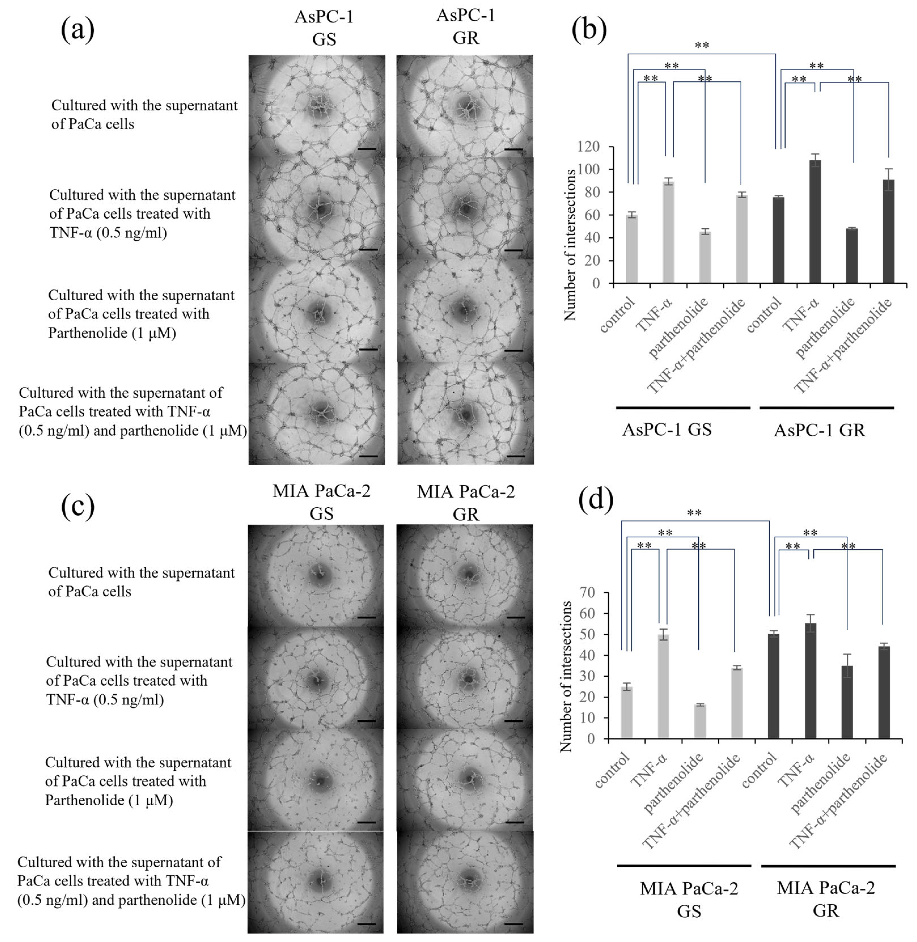 Nutrients 16 00705 g004