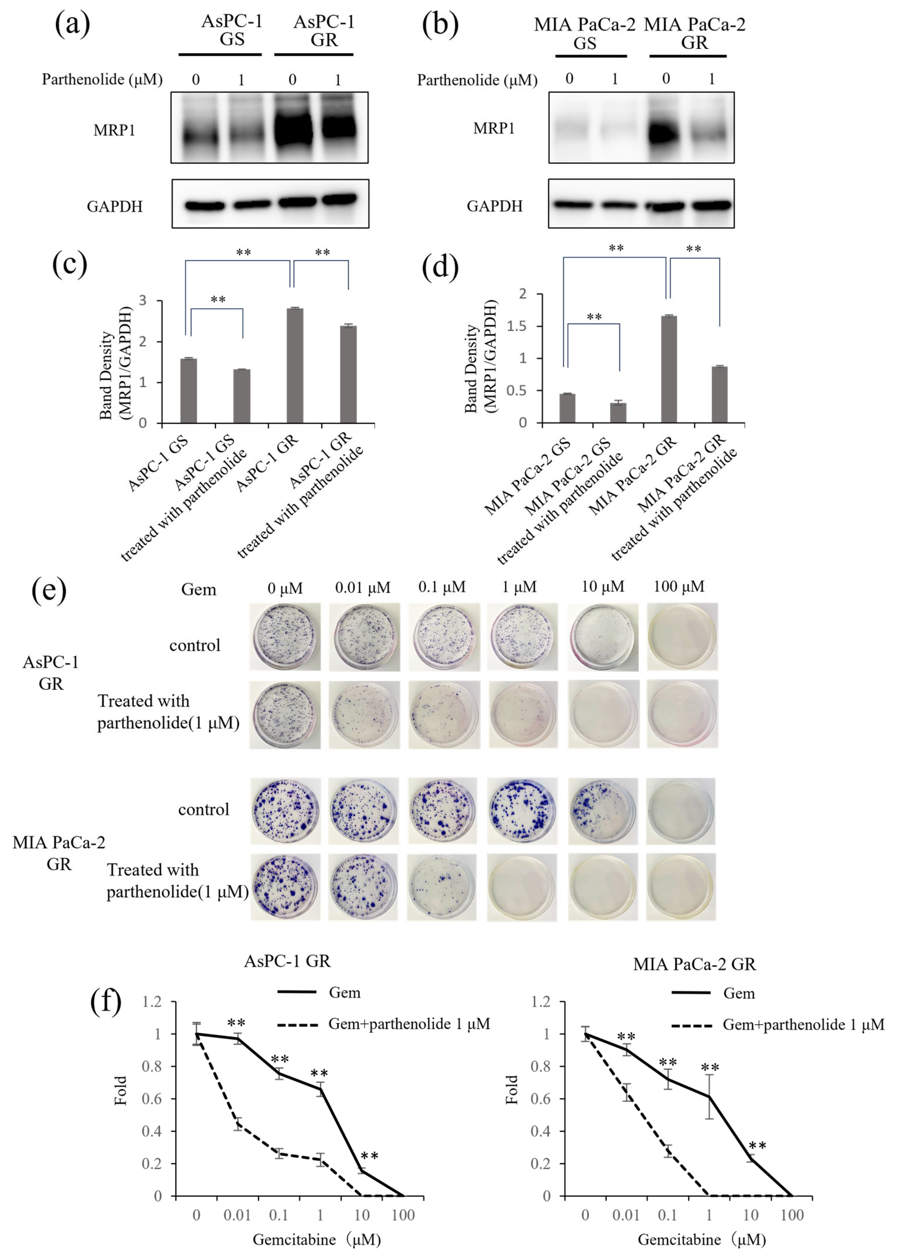Nutrients 16 00705 g006