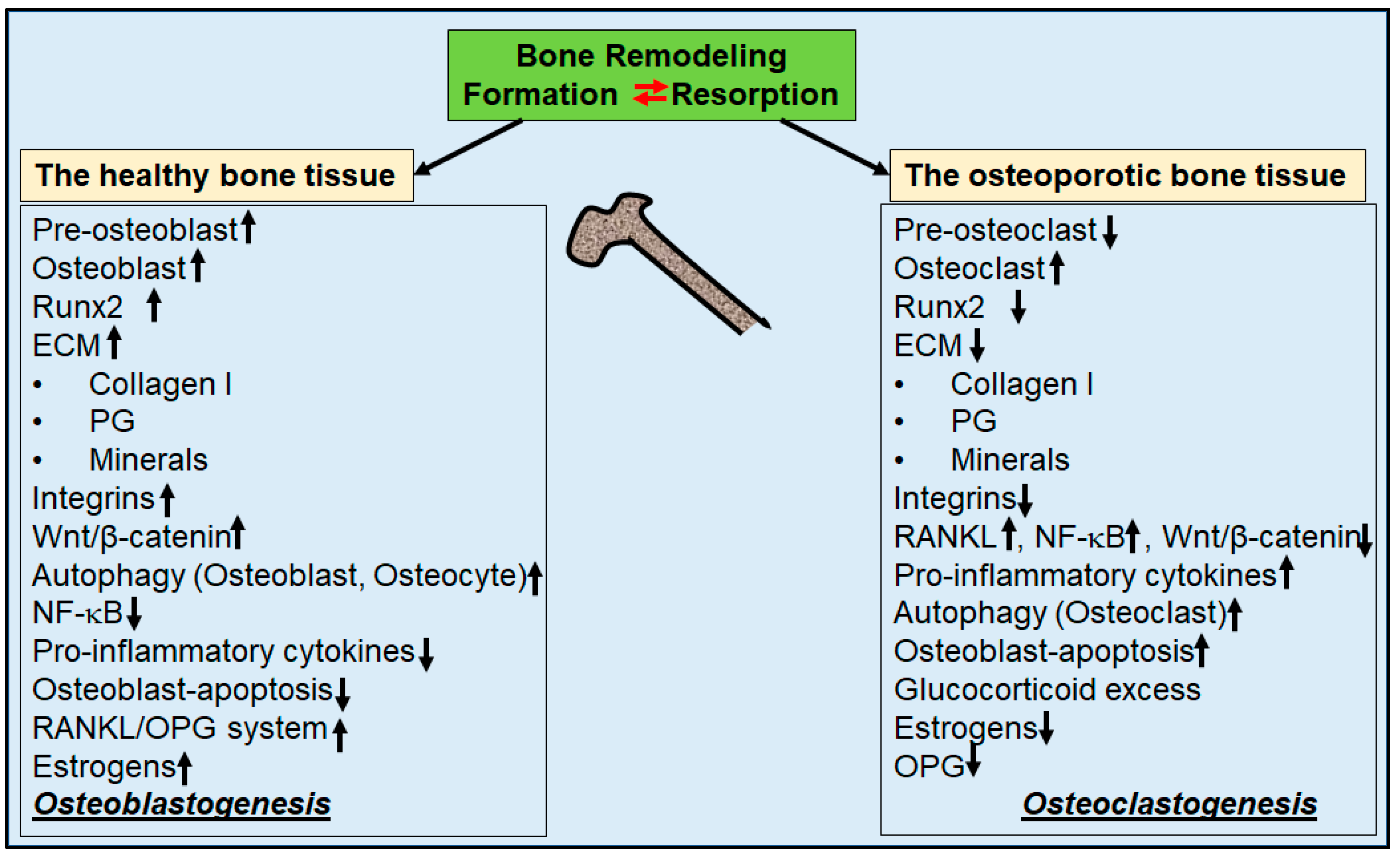 Nutrients 16 00708 g001