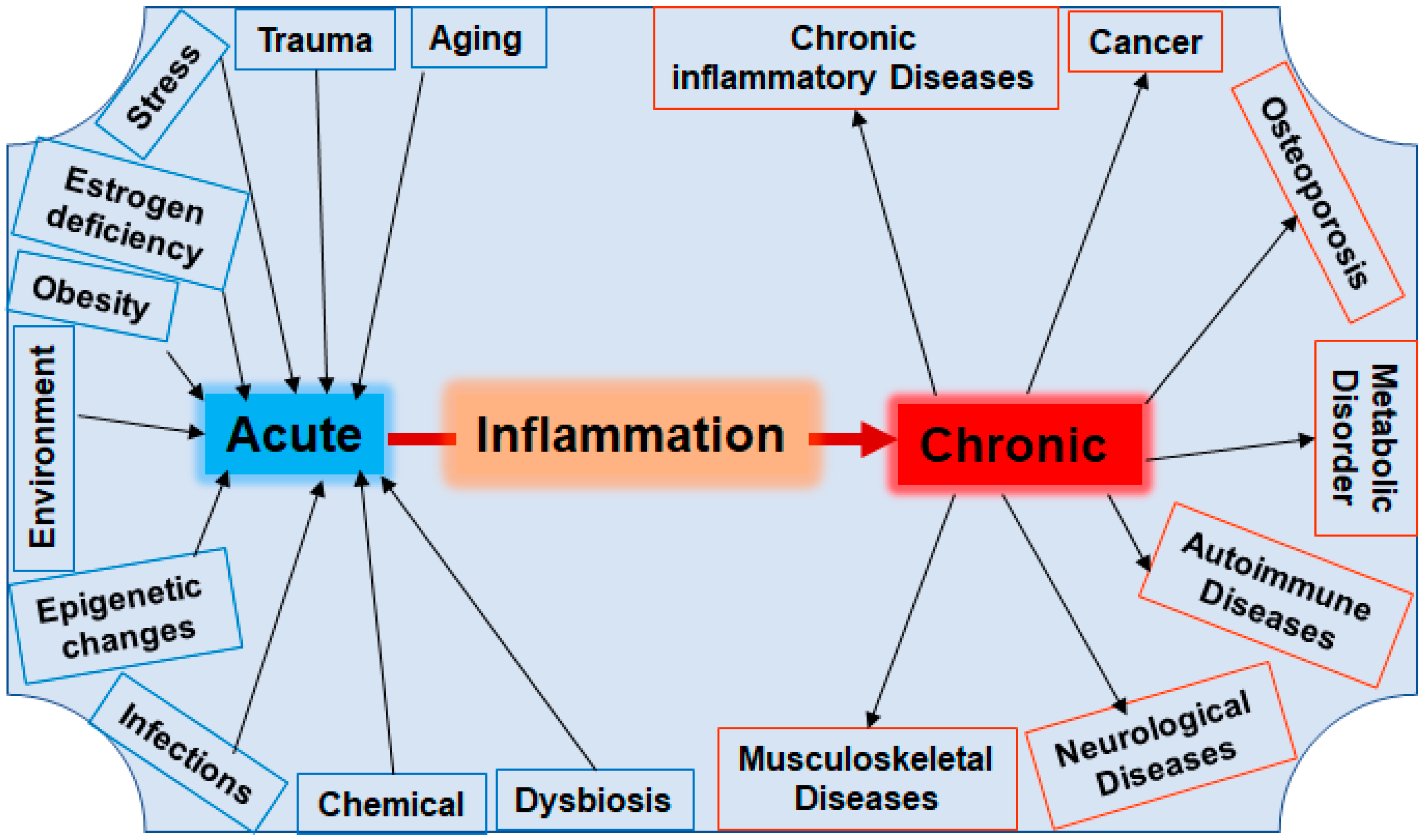 Nutrients 16 00708 g002