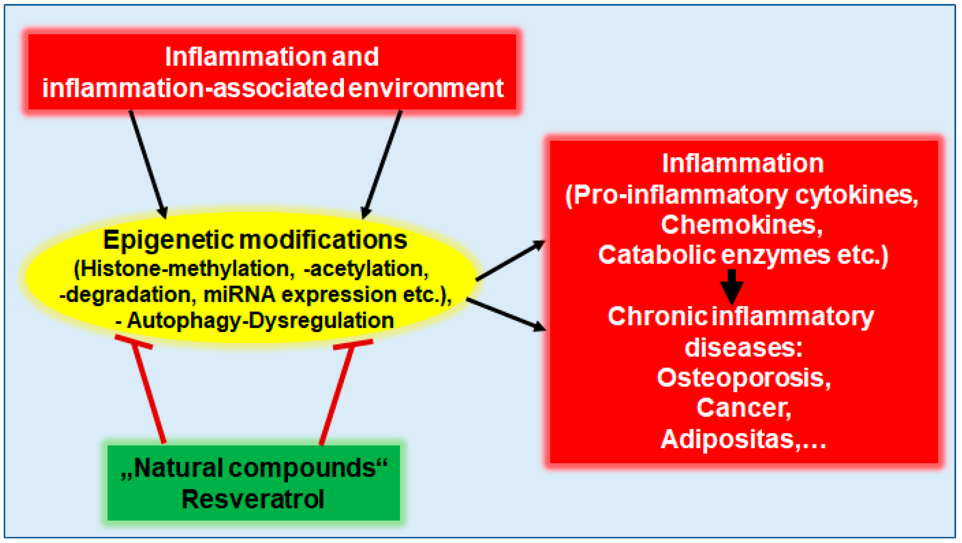 Nutrients 16 00708 g003