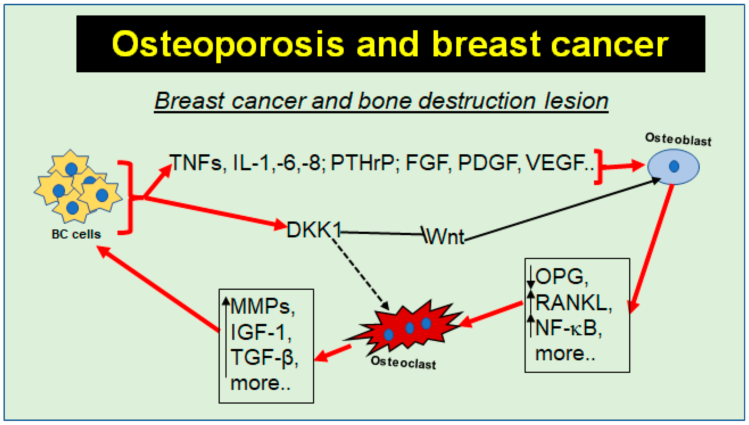 Nutrients 16 00708 g005
