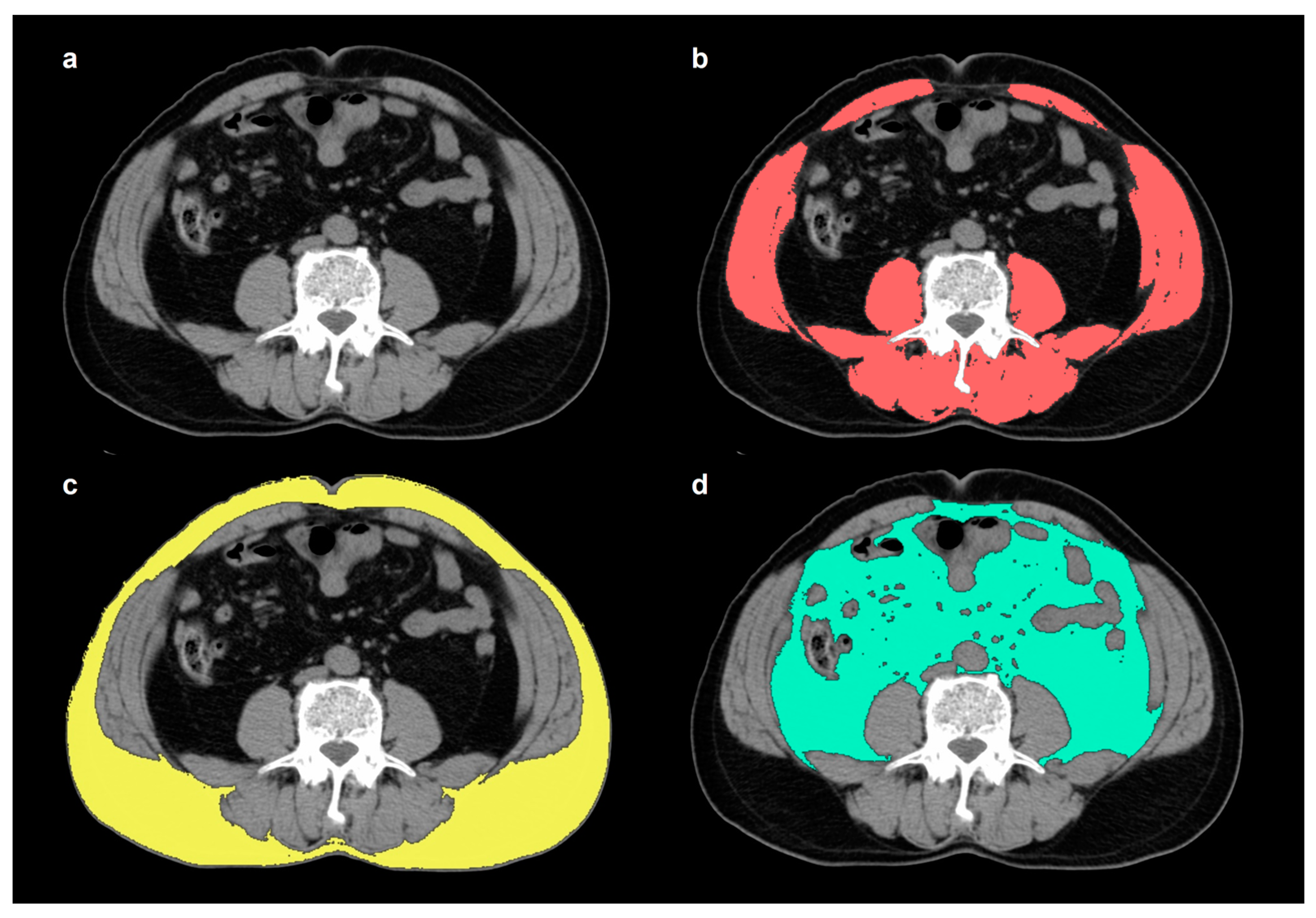 Nutrients 16 00728 g001