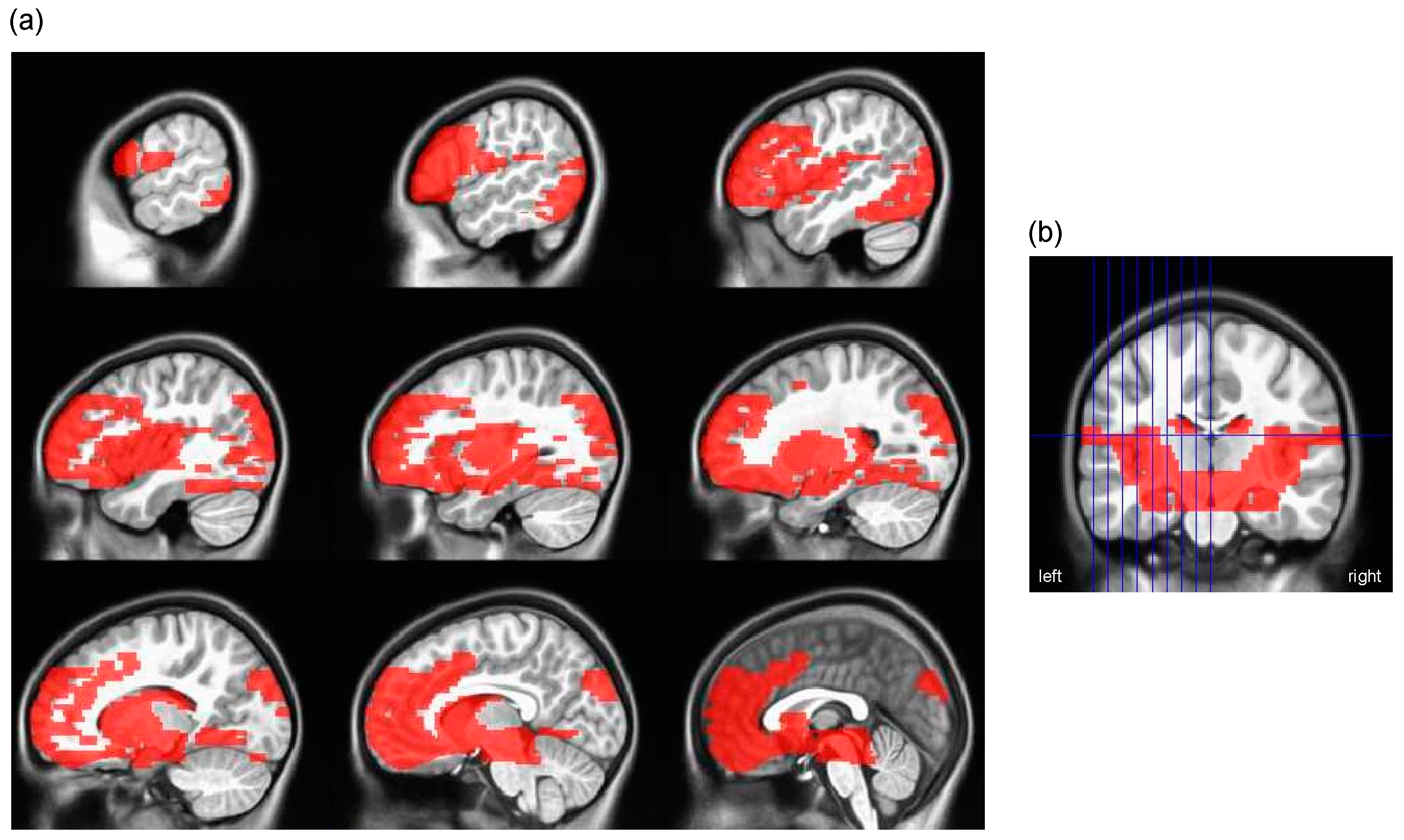 Nutrients 16 00738 g003 Nutrients 16 00738 g003