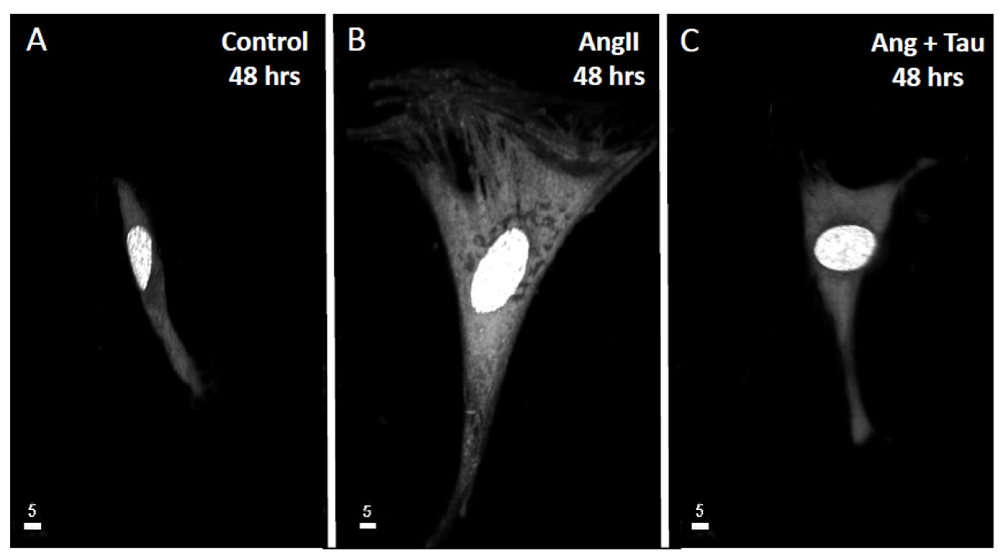 Nutrients 16 00745 g001