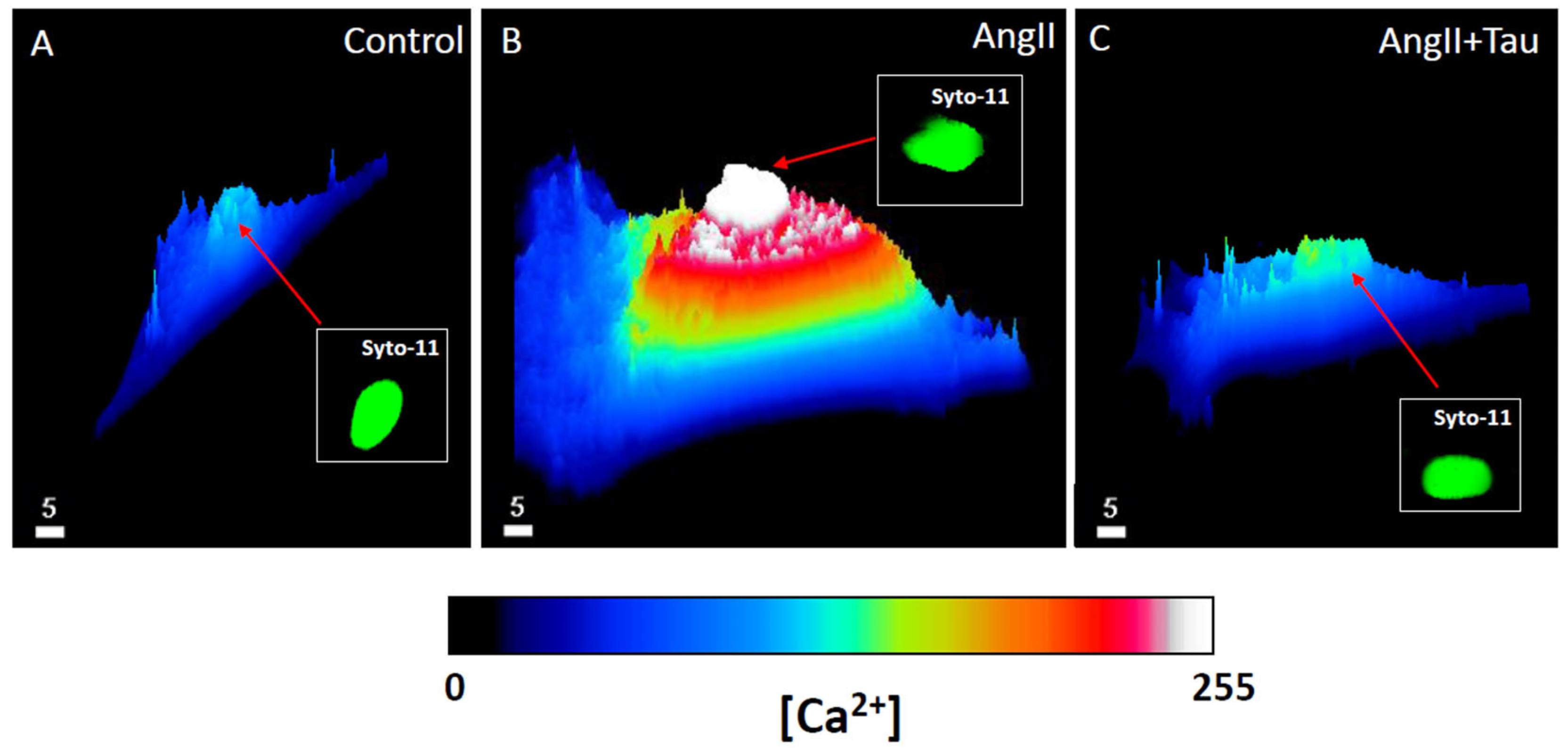 Nutrients 16 00745 g003