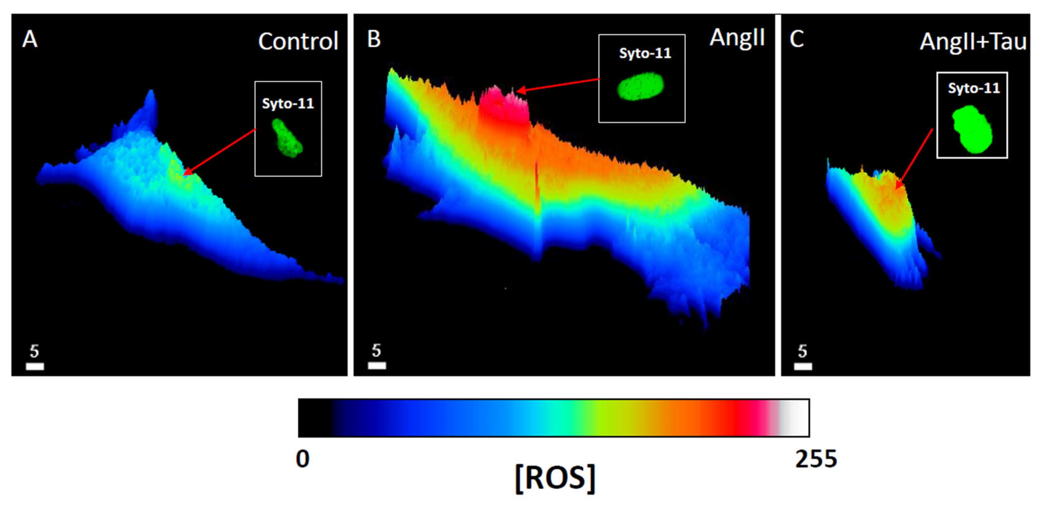 Nutrients 16 00745 g005