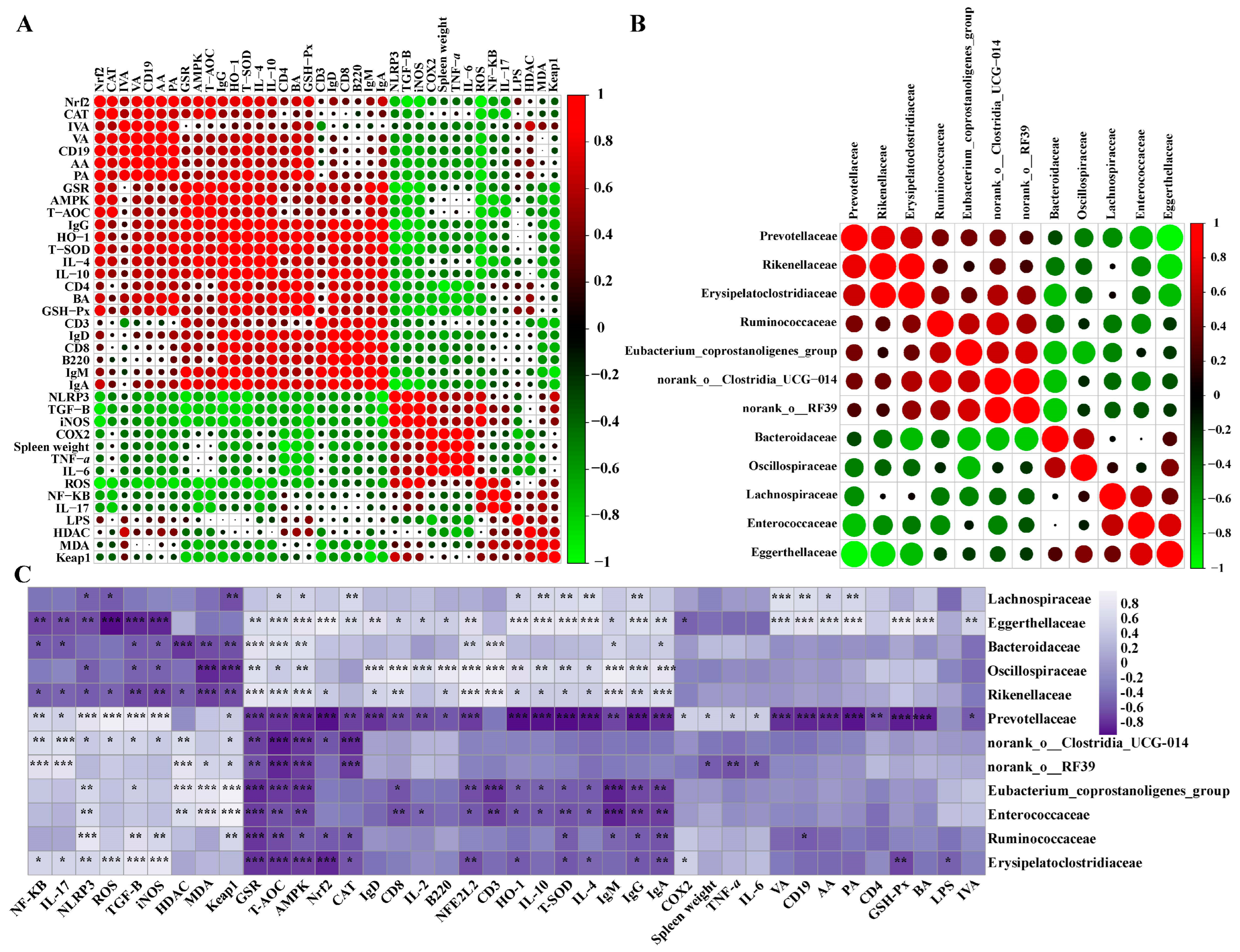 Nutrients 16 00747 g008