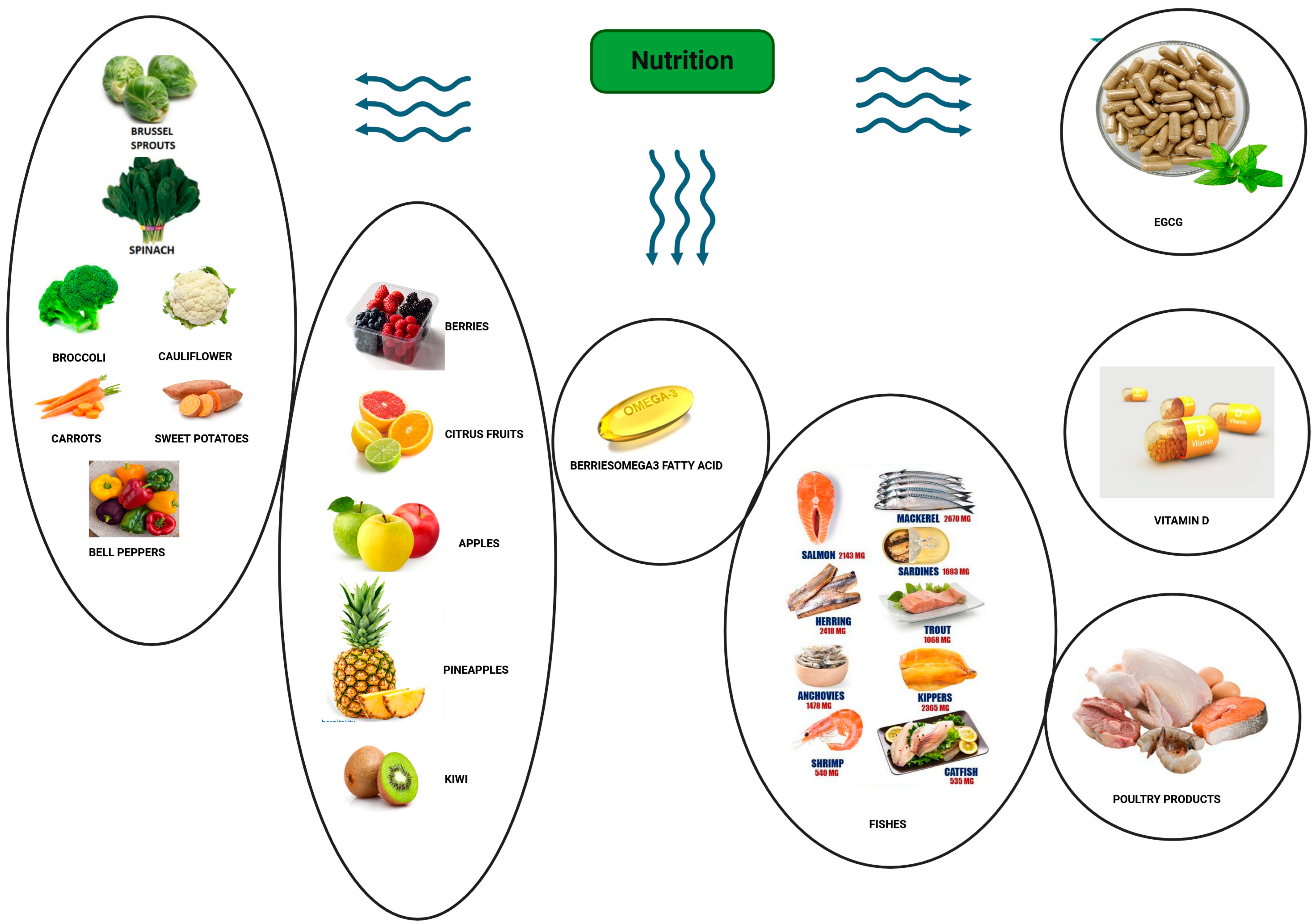 Nutrients 16 00807 g001