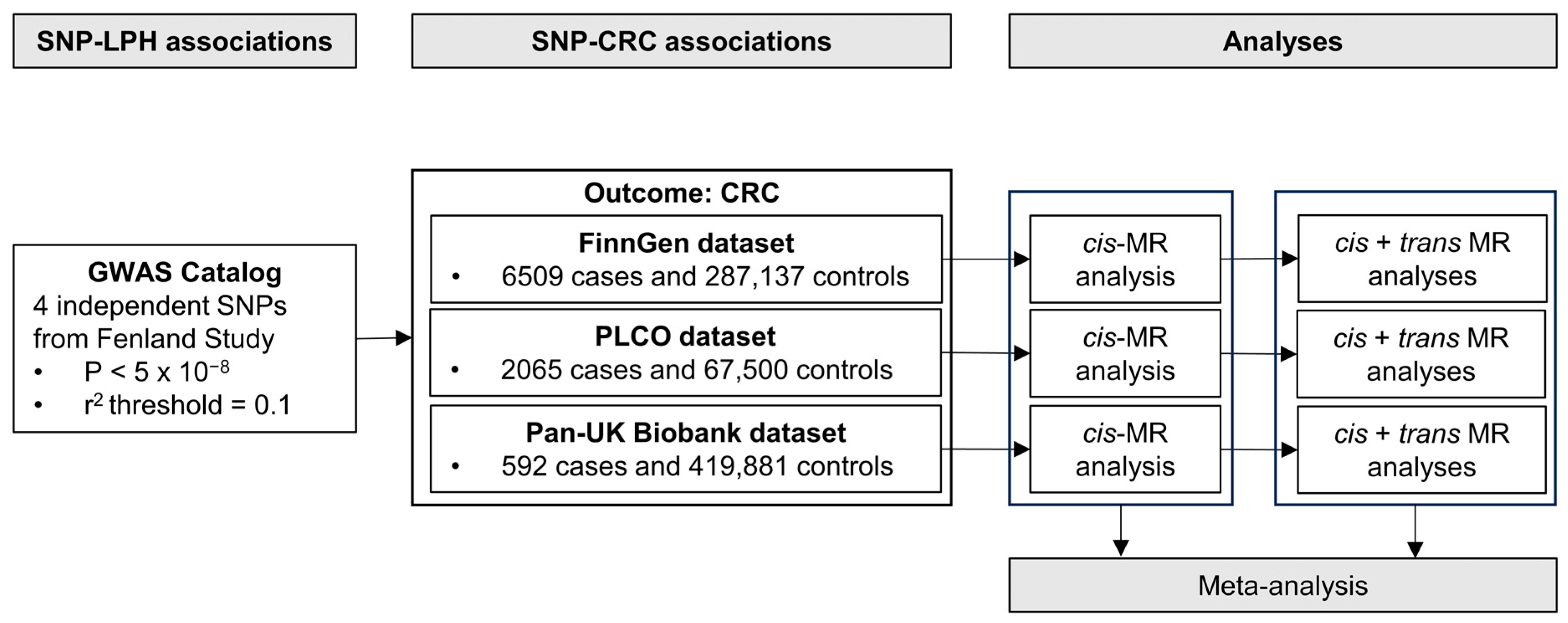 Nutrients 16 00808 g001