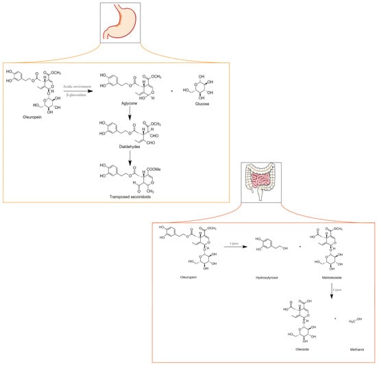 Nutrients 16 00818 g003
