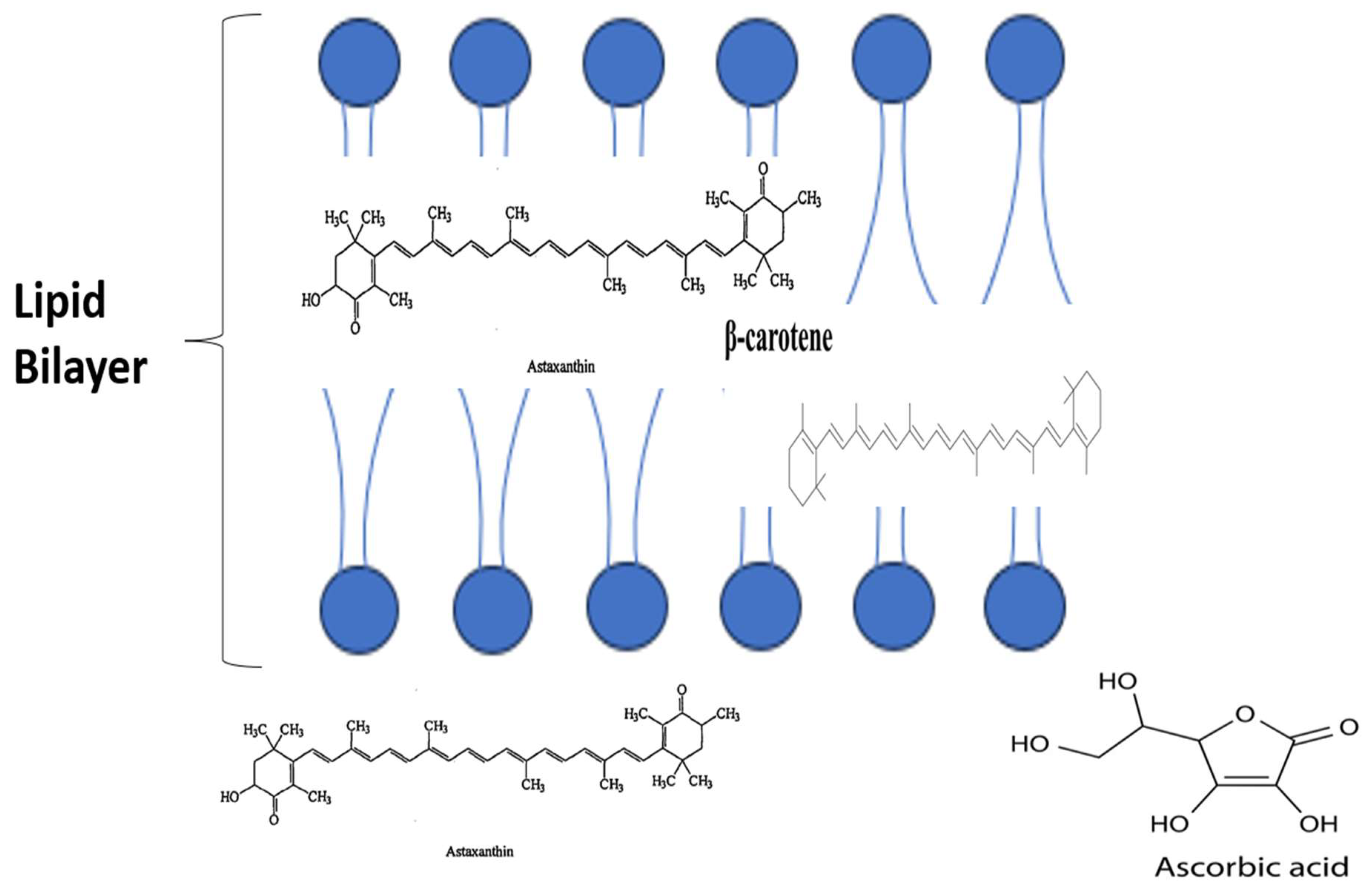Nutrients 16 00826 g001a