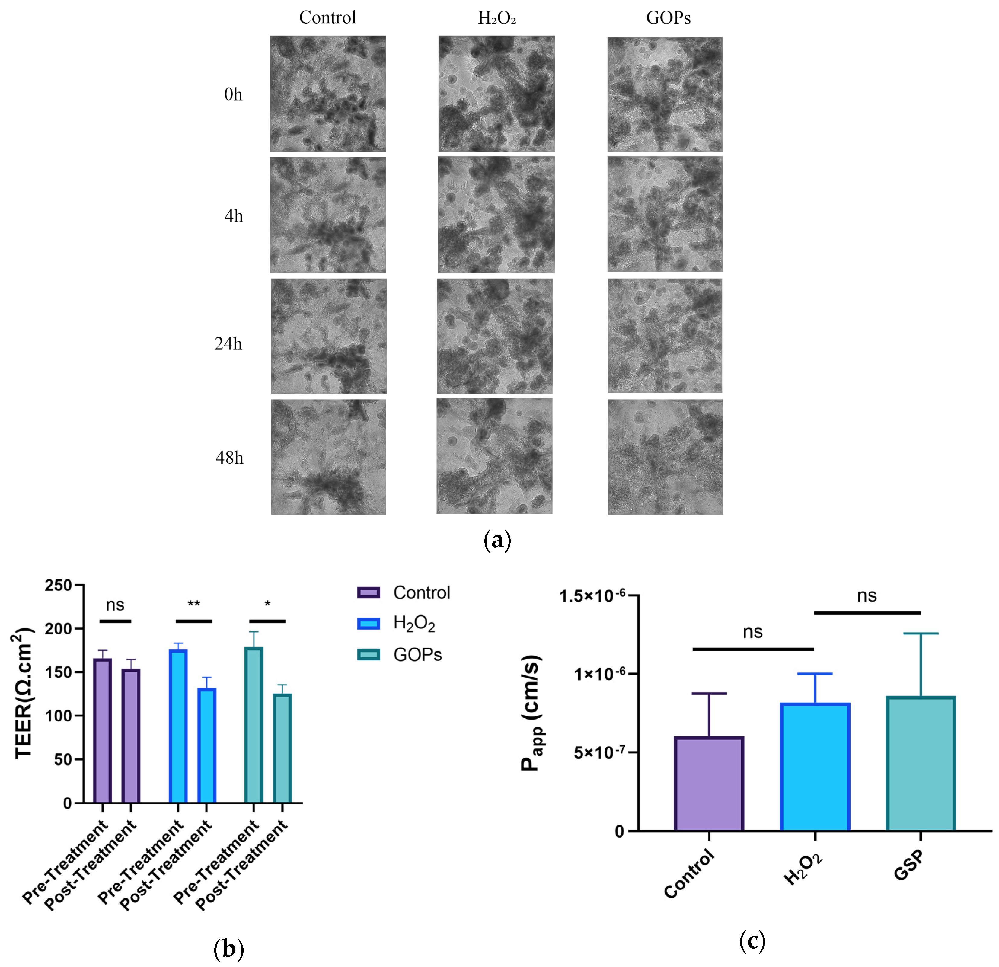 Nutrients 16 00845 g002