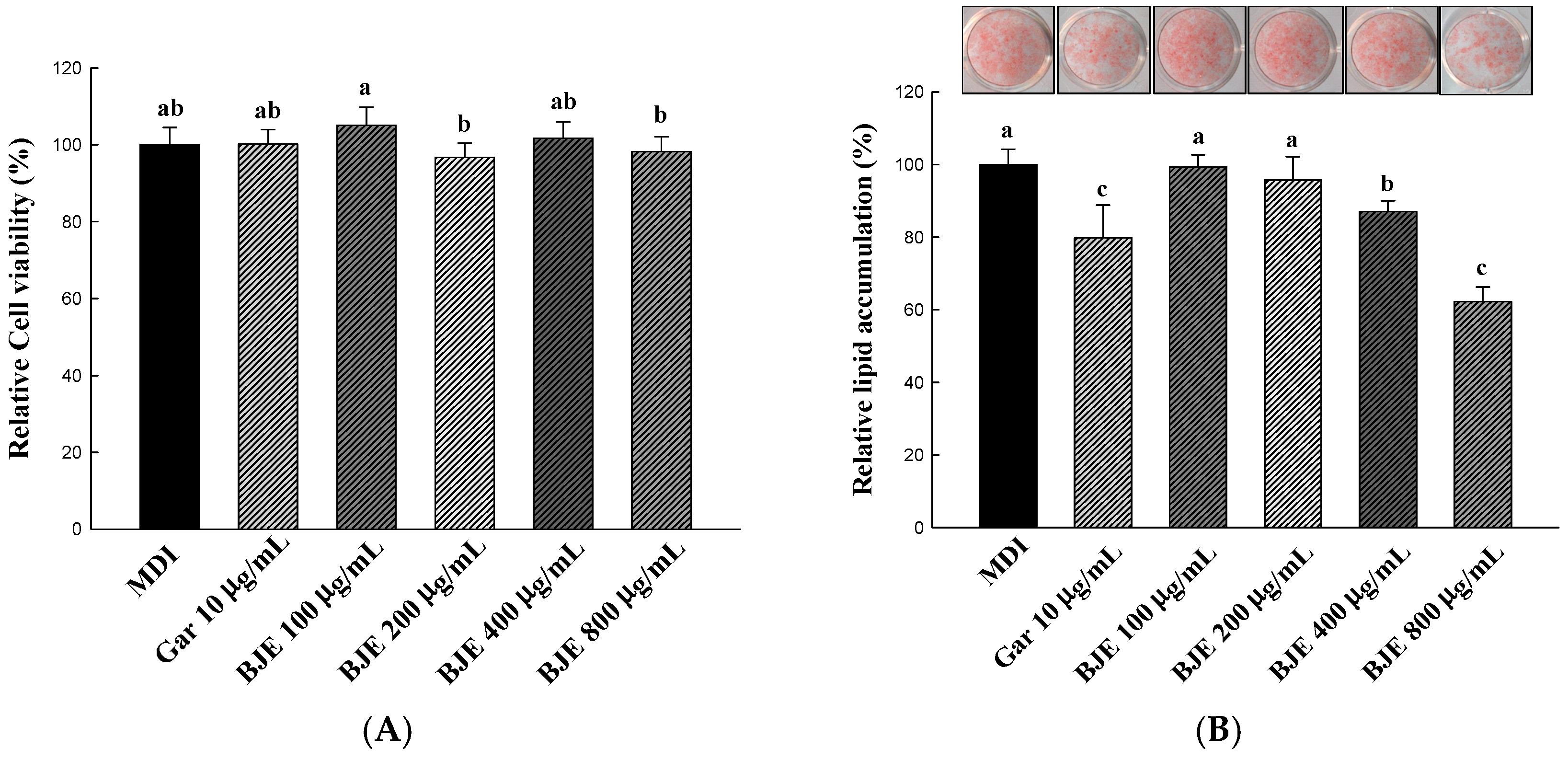 Nutrients 16 00846 g002