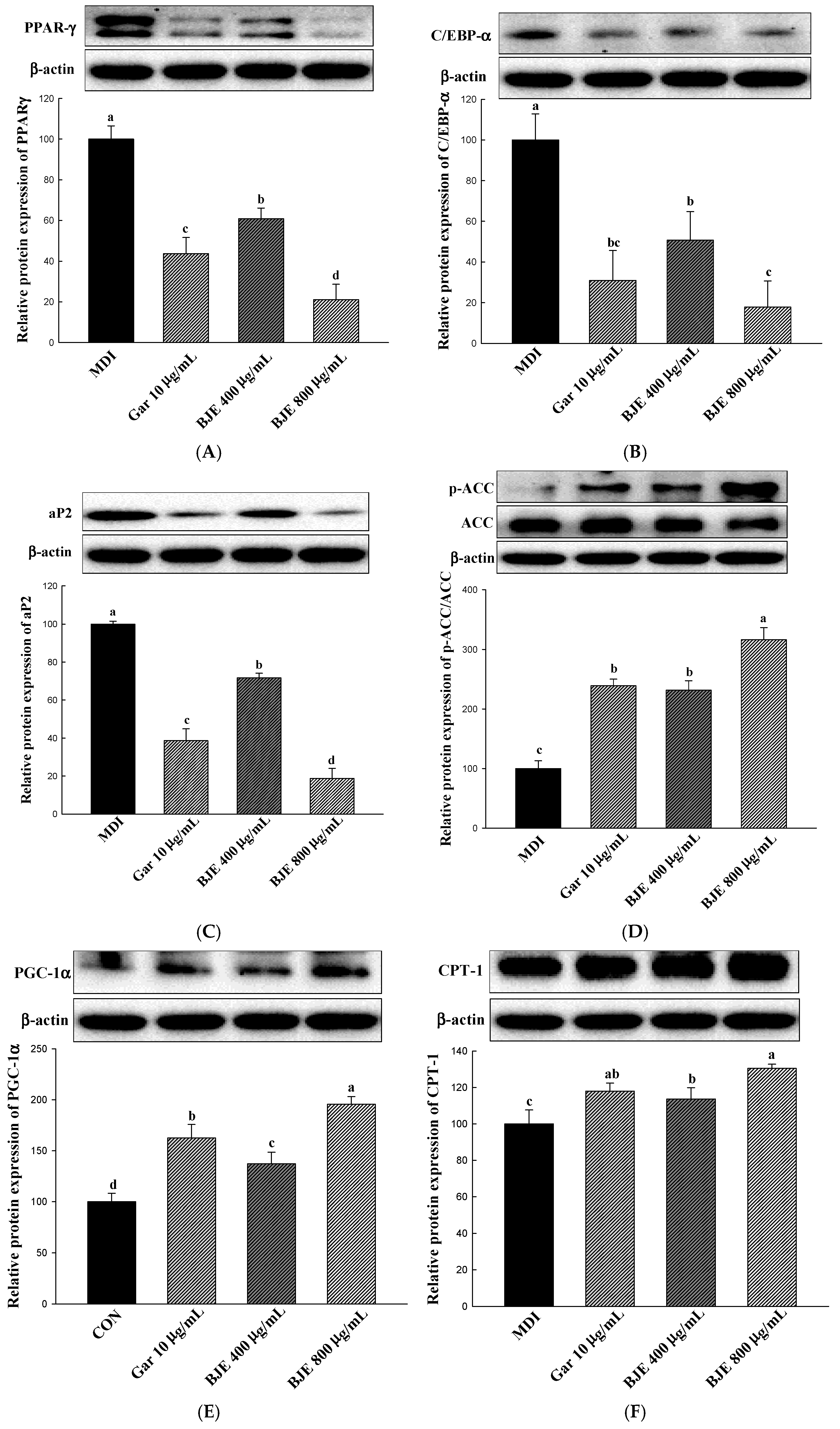 Nutrients 16 00846 g003