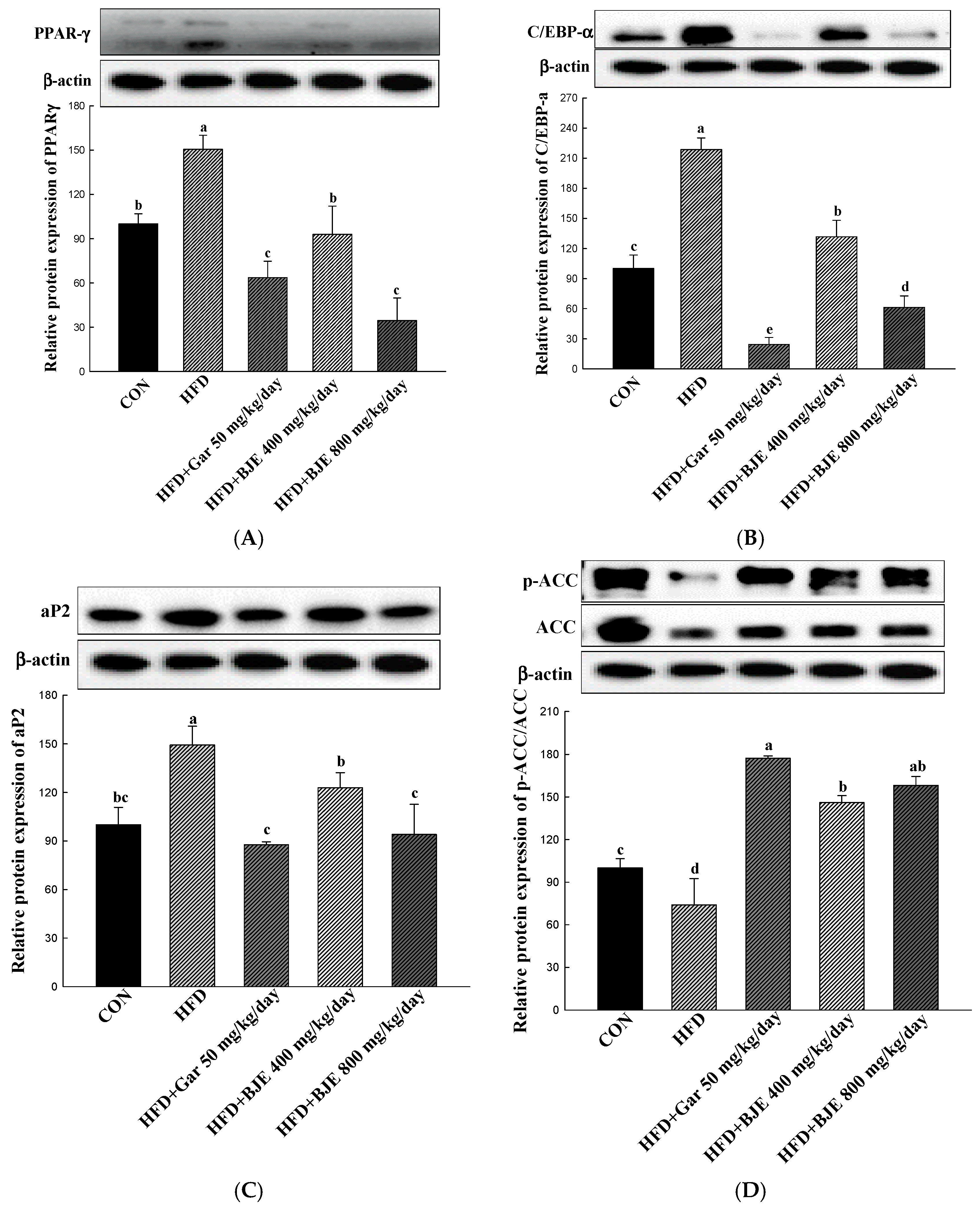 Nutrients 16 00846 g005a