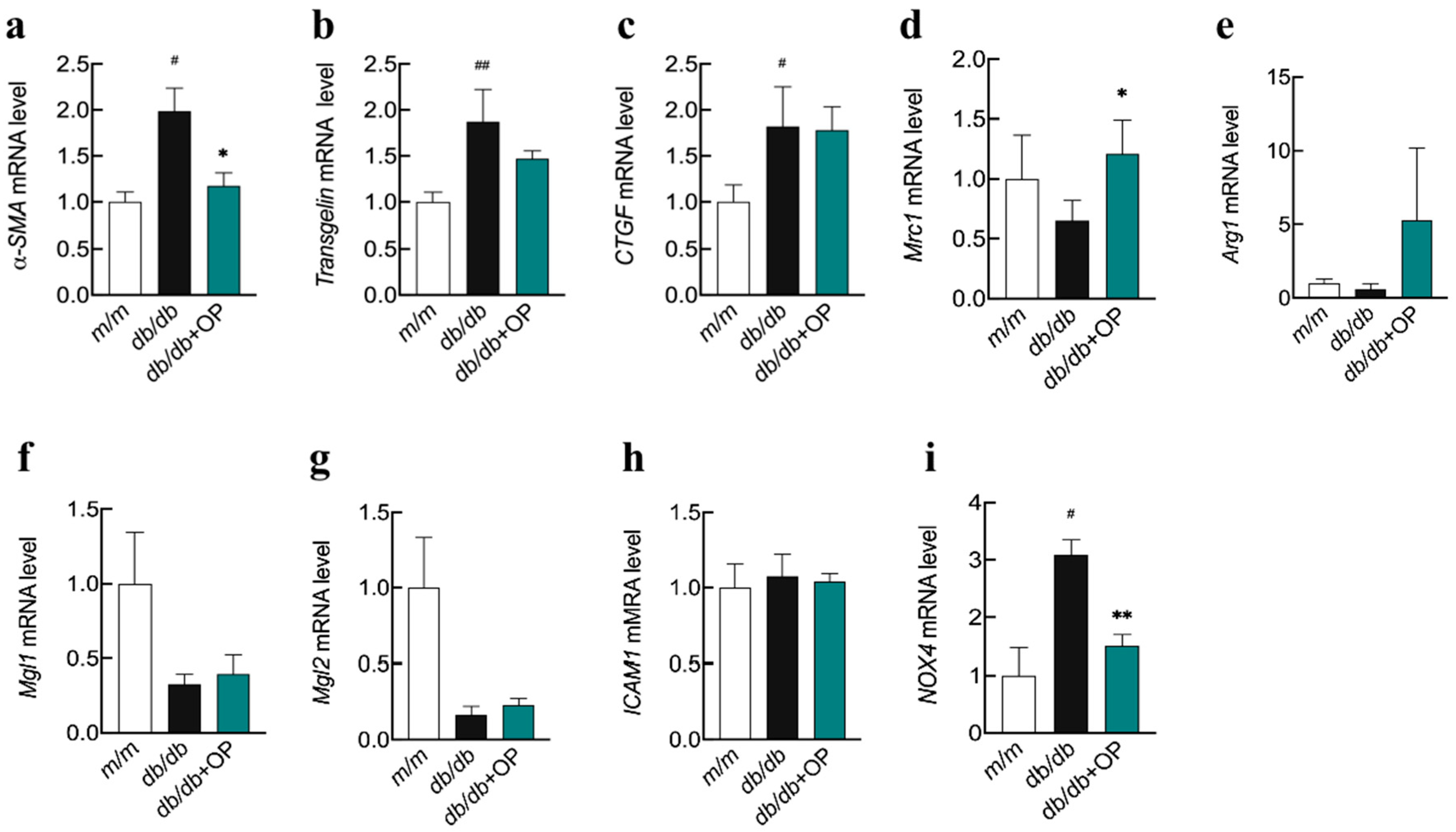 Nutrients 16 00848 g004 Nutrients 16 00848 g004