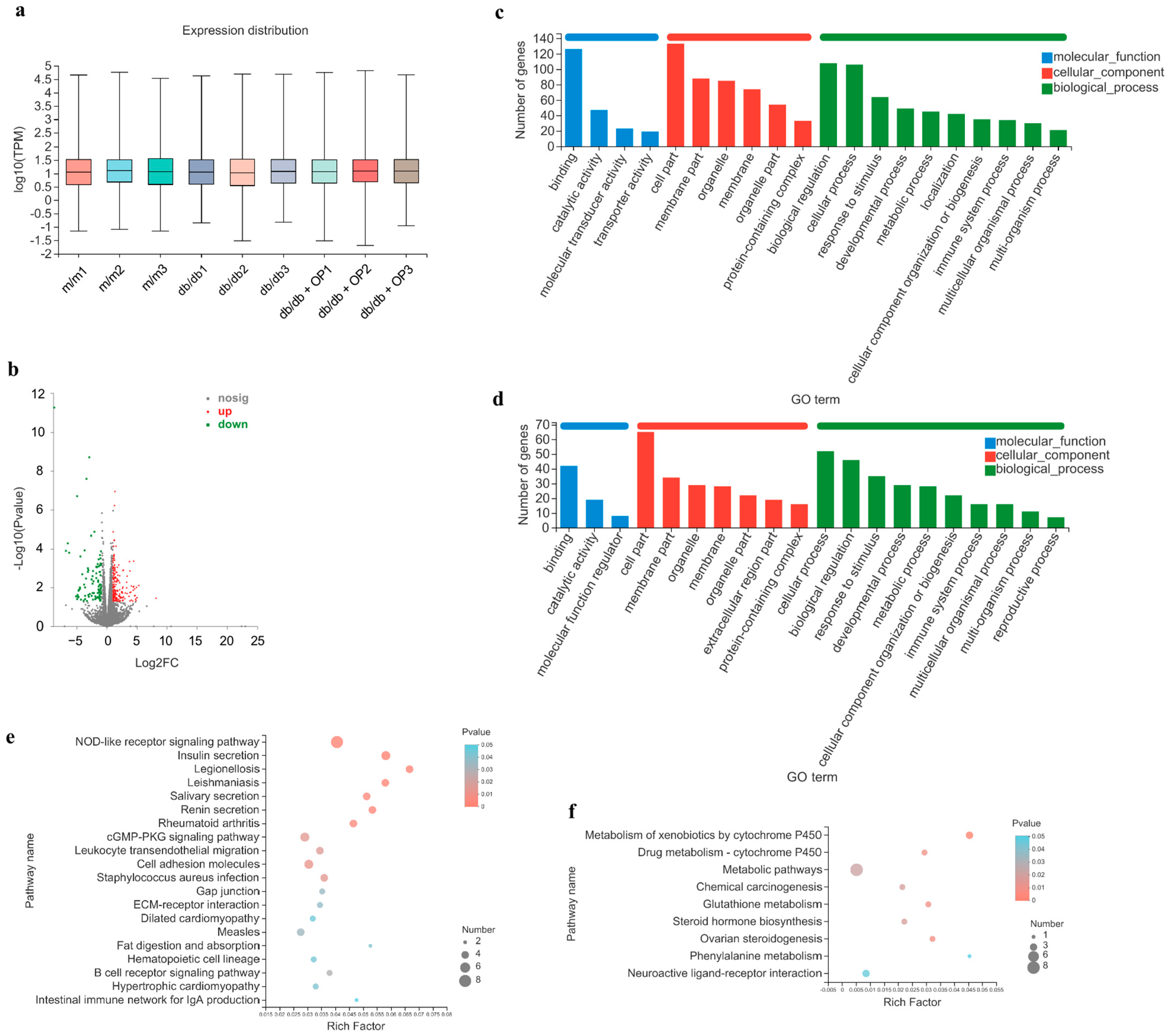 Nutrients 16 00848 g005 Nutrients 16 00848 g005