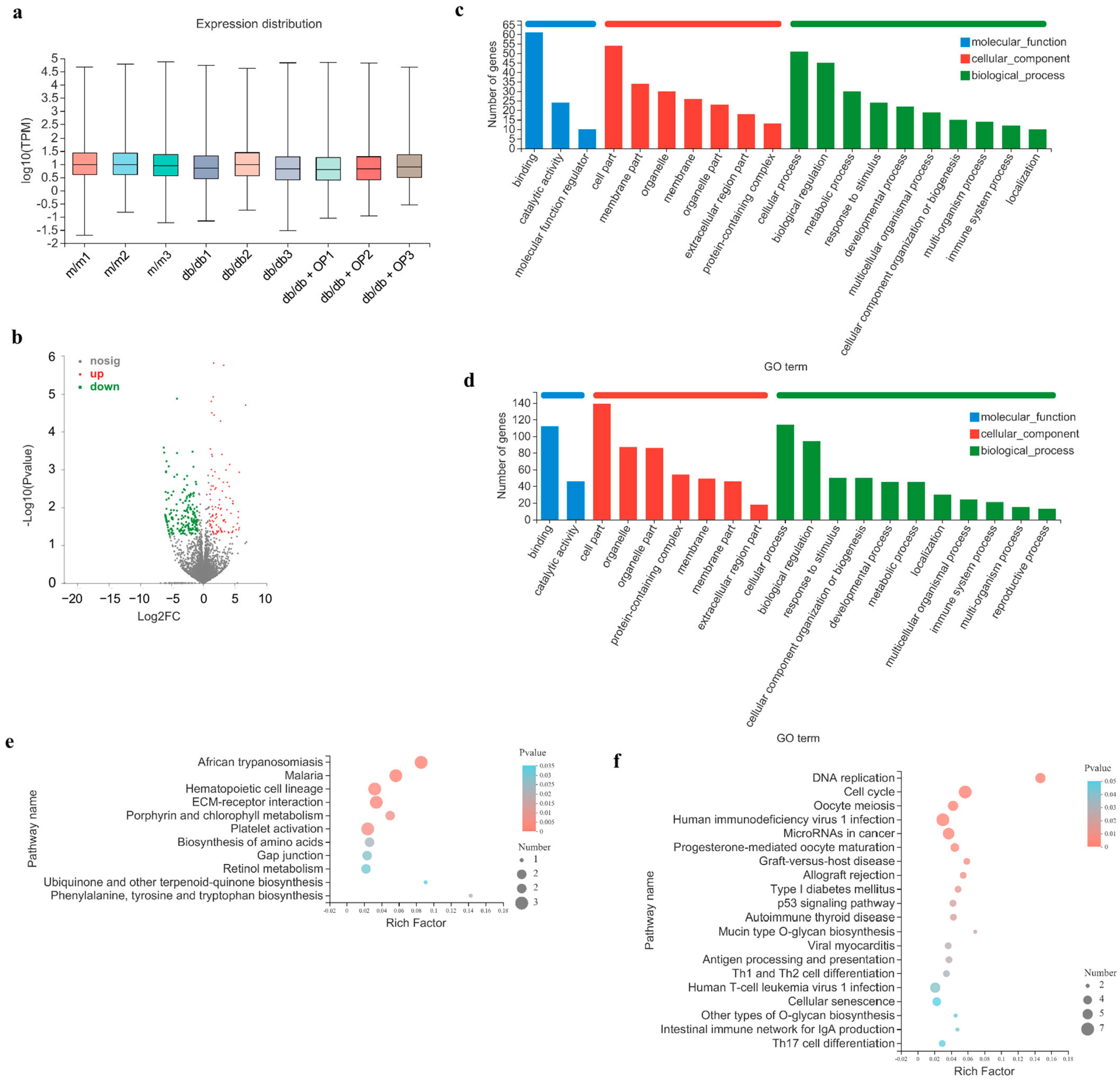 Nutrients 16 00848 g008 Nutrients 16 00848 g008