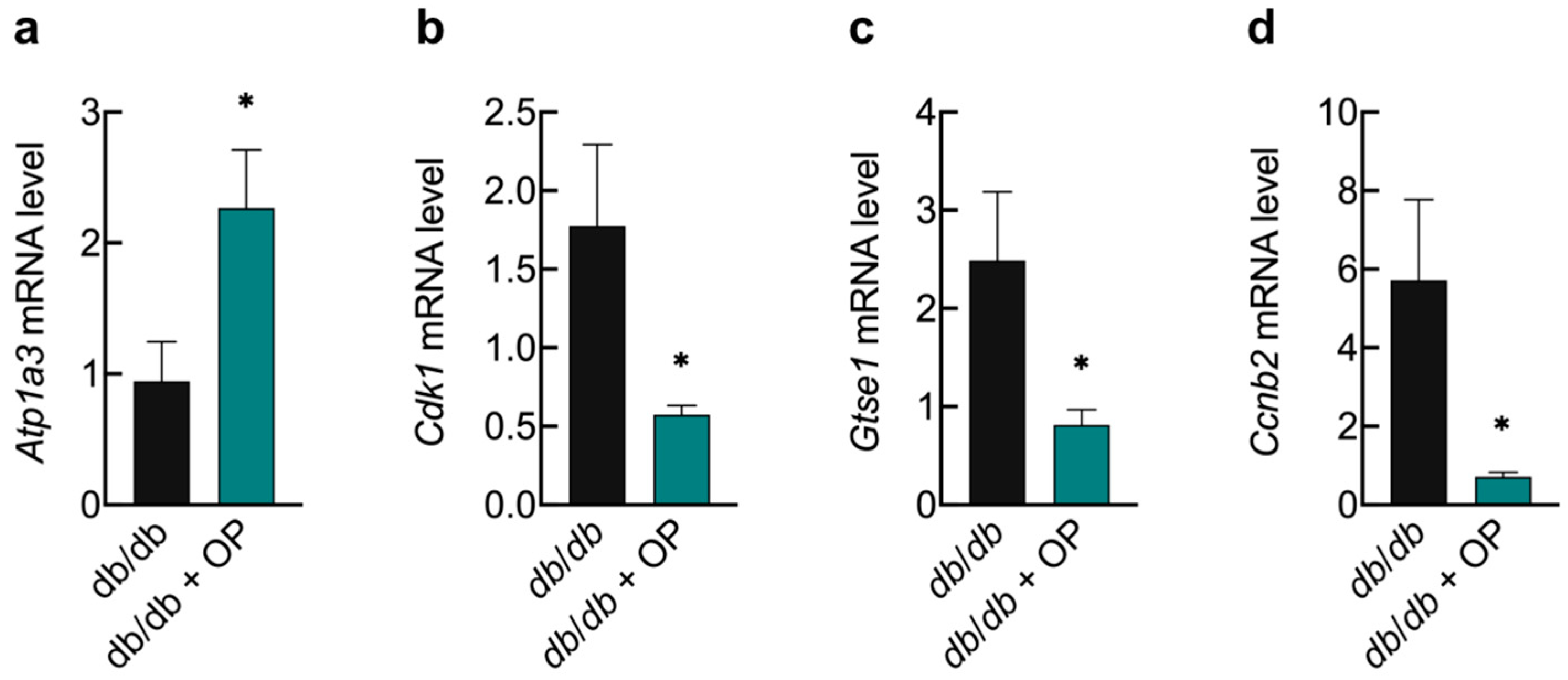 Nutrients 16 00848 g009 Nutrients 16 00848 g009