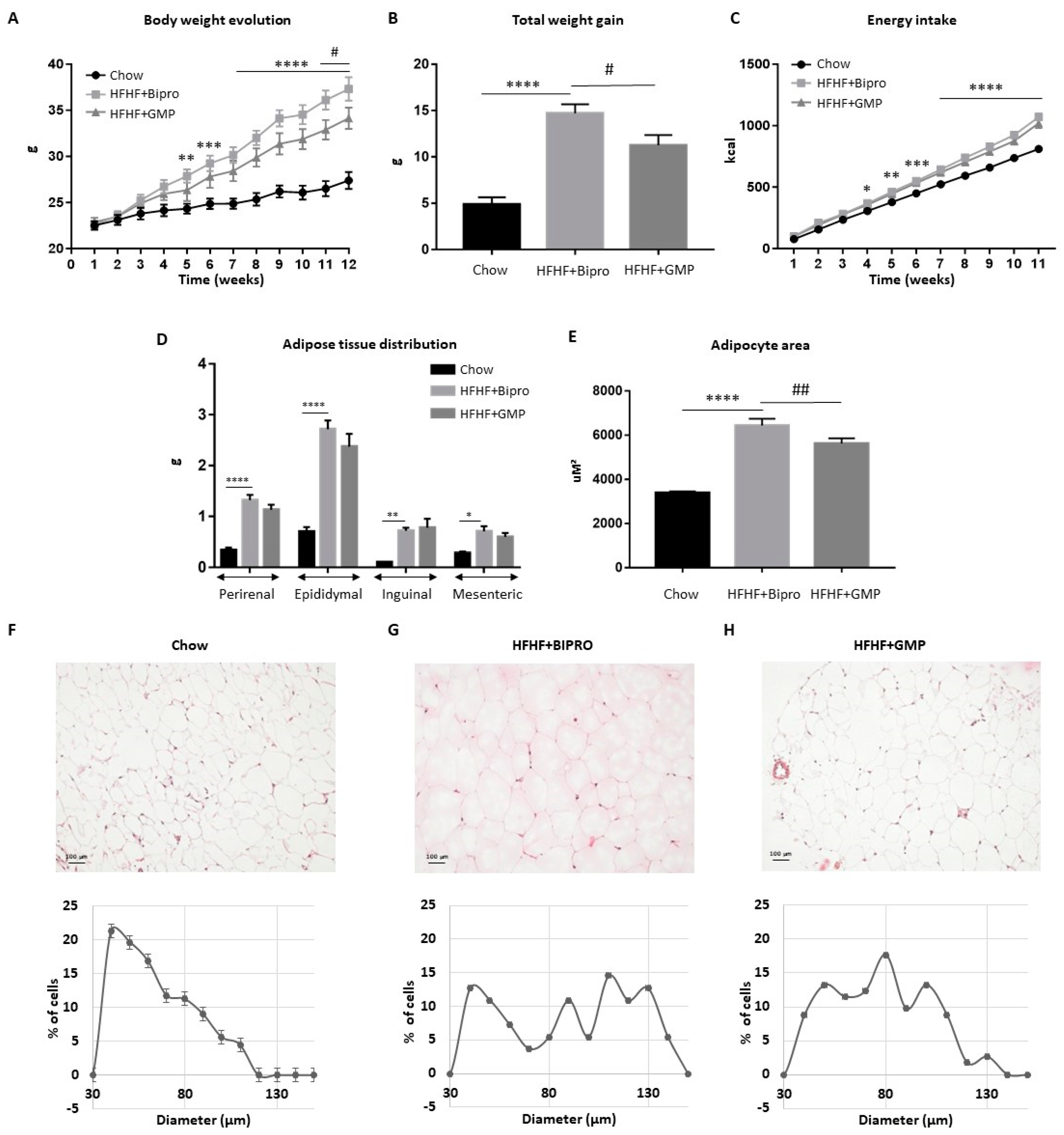 Nutrients 16 00871 g001