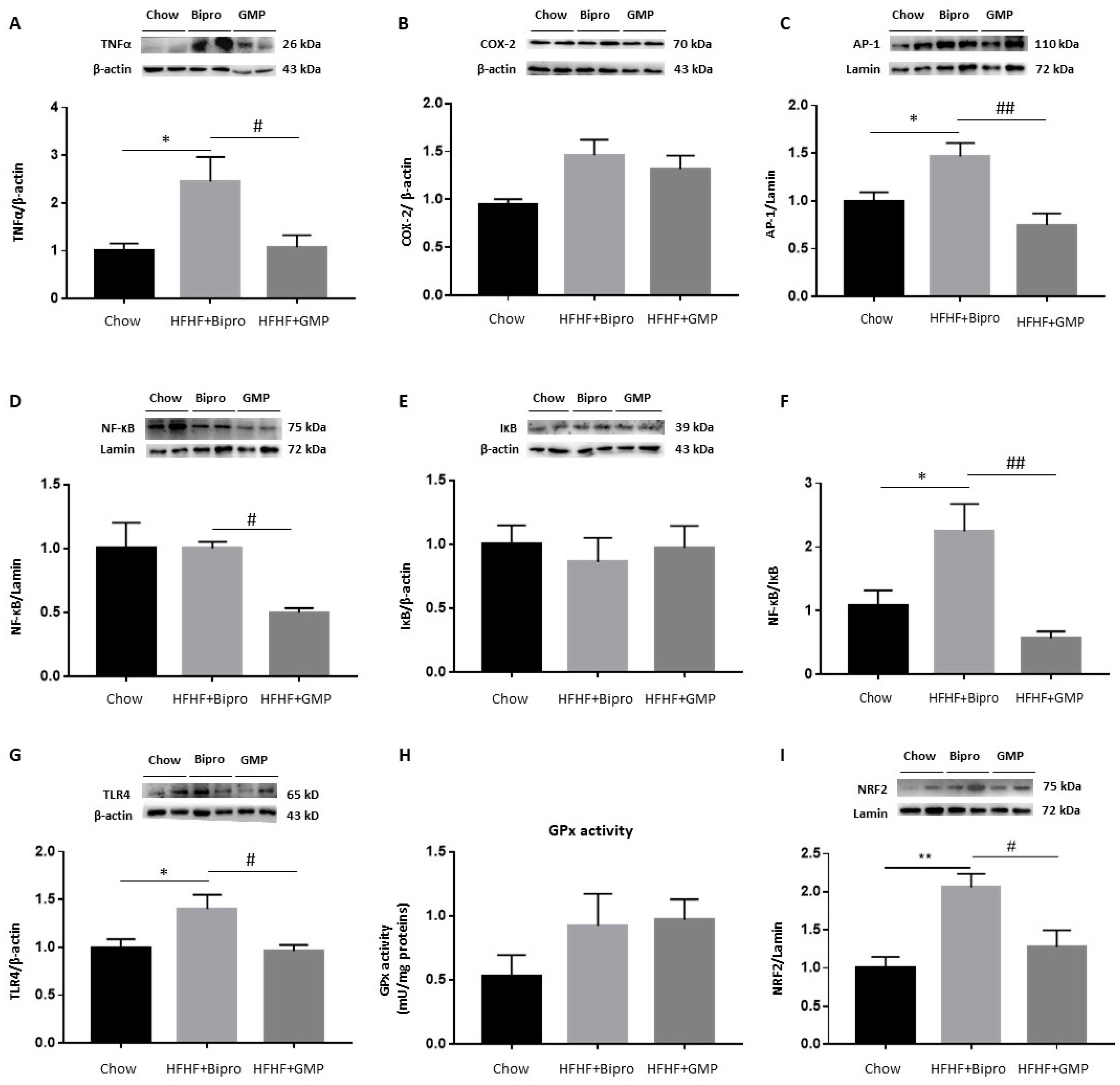 Nutrients 16 00871 g004