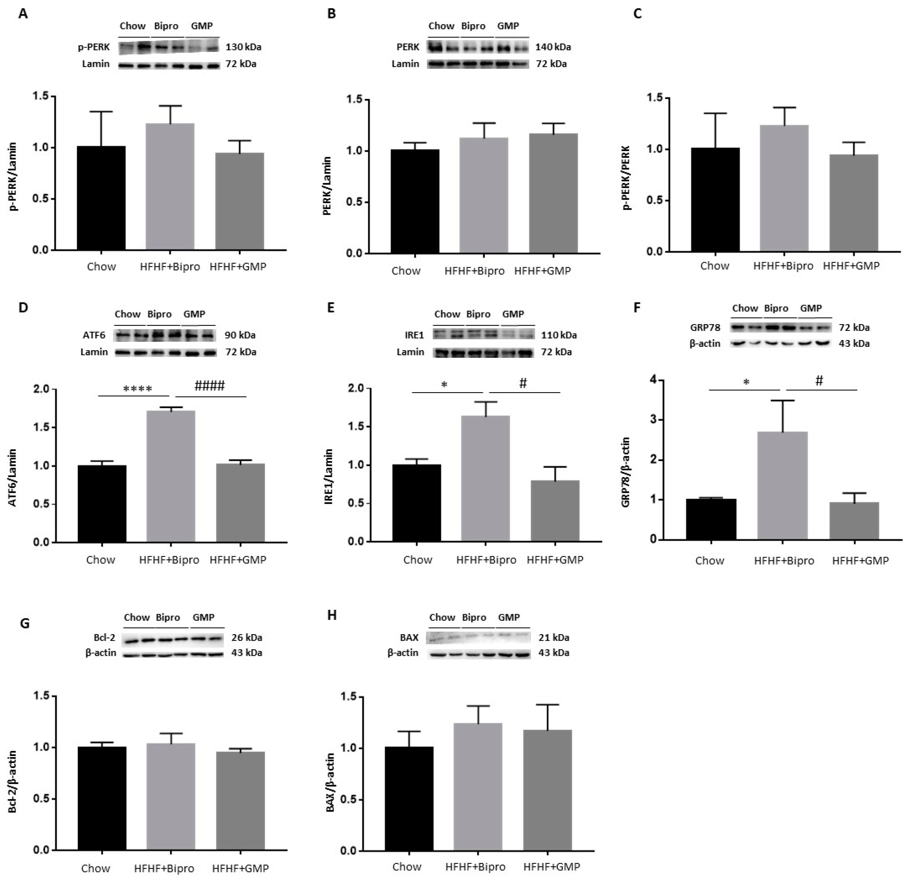 Nutrients 16 00871 g005