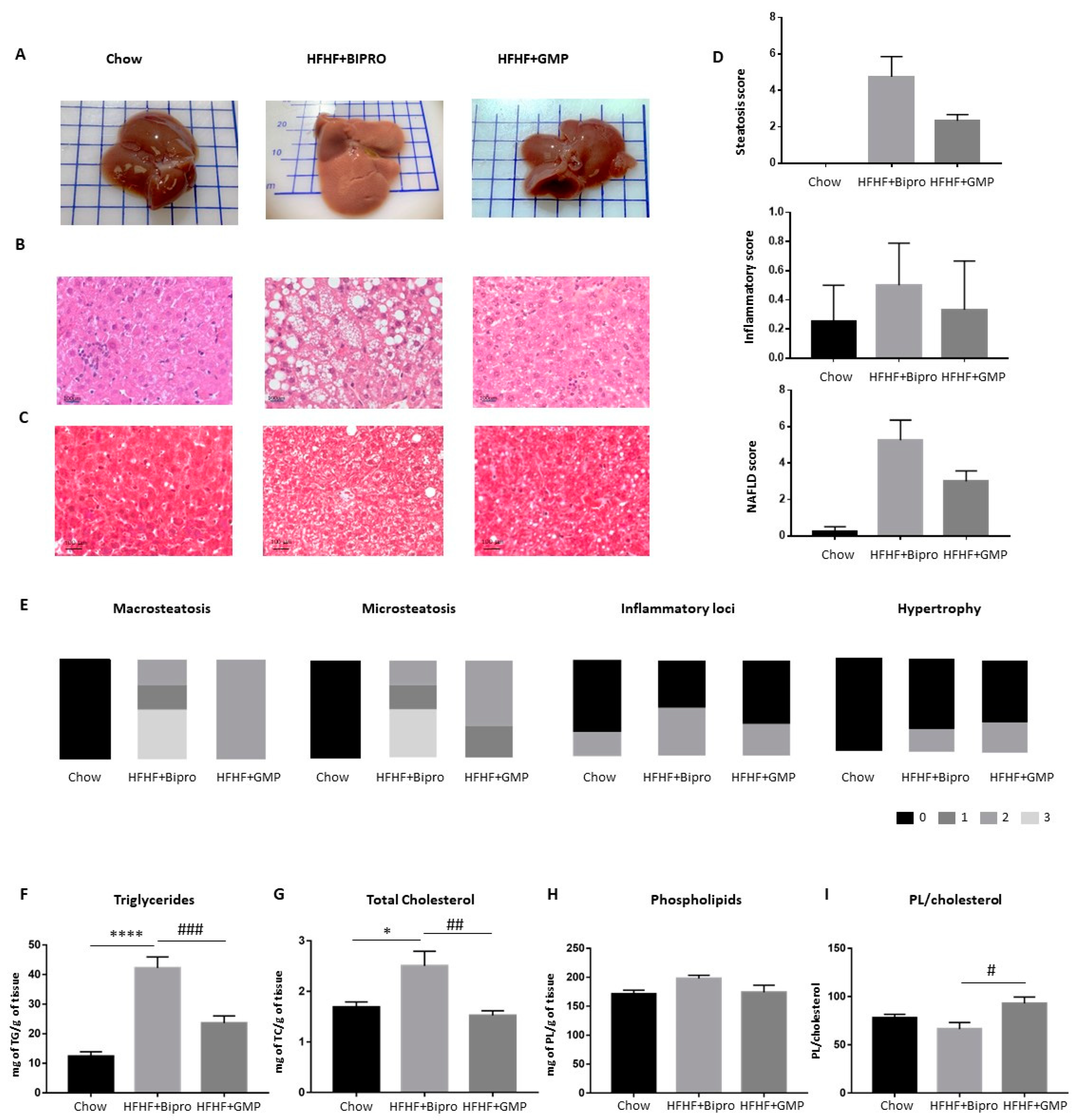 Nutrients 16 00871 g008