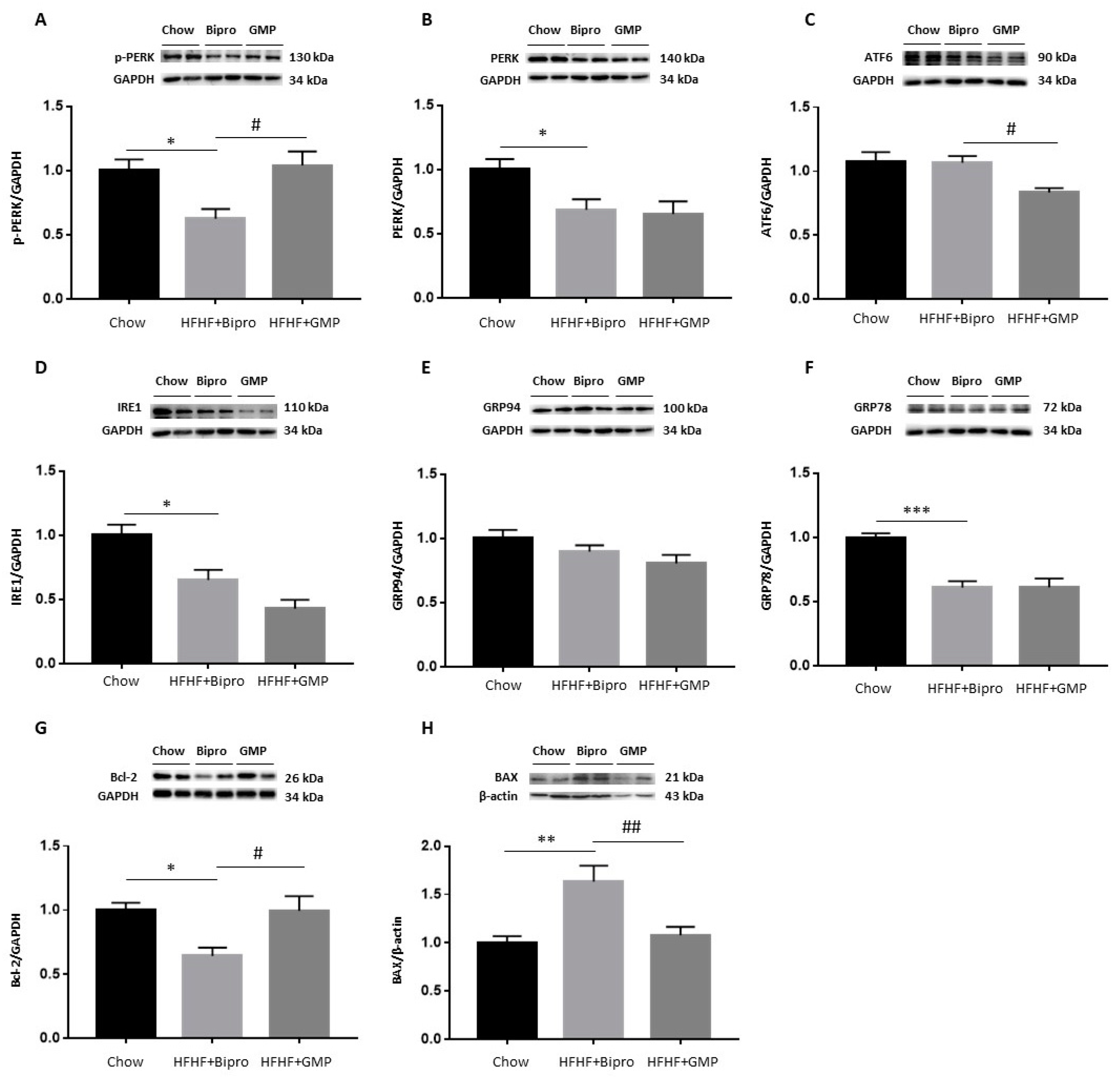 Nutrients 16 00871 g010