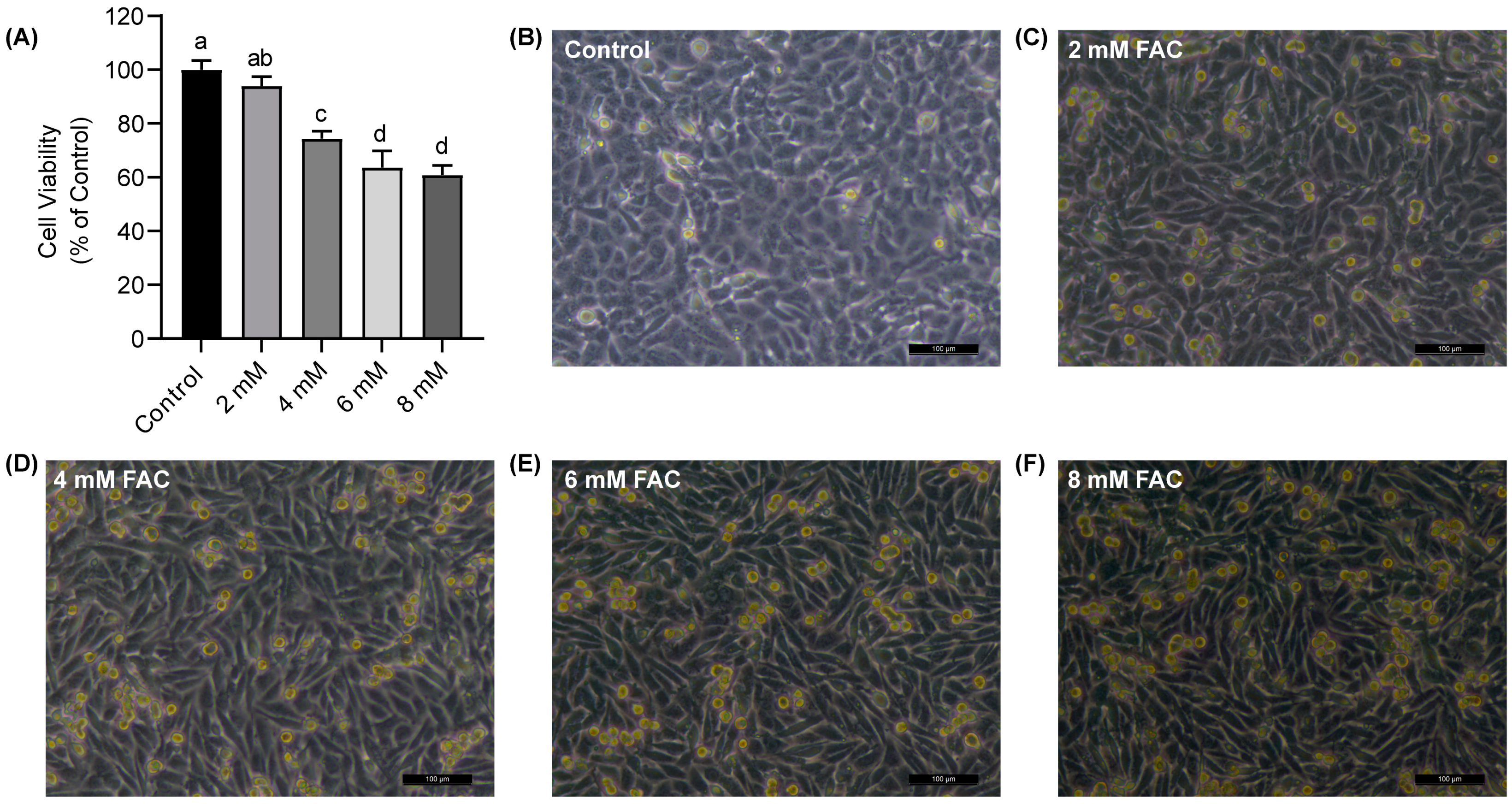 Nutrients 16 00873 g002