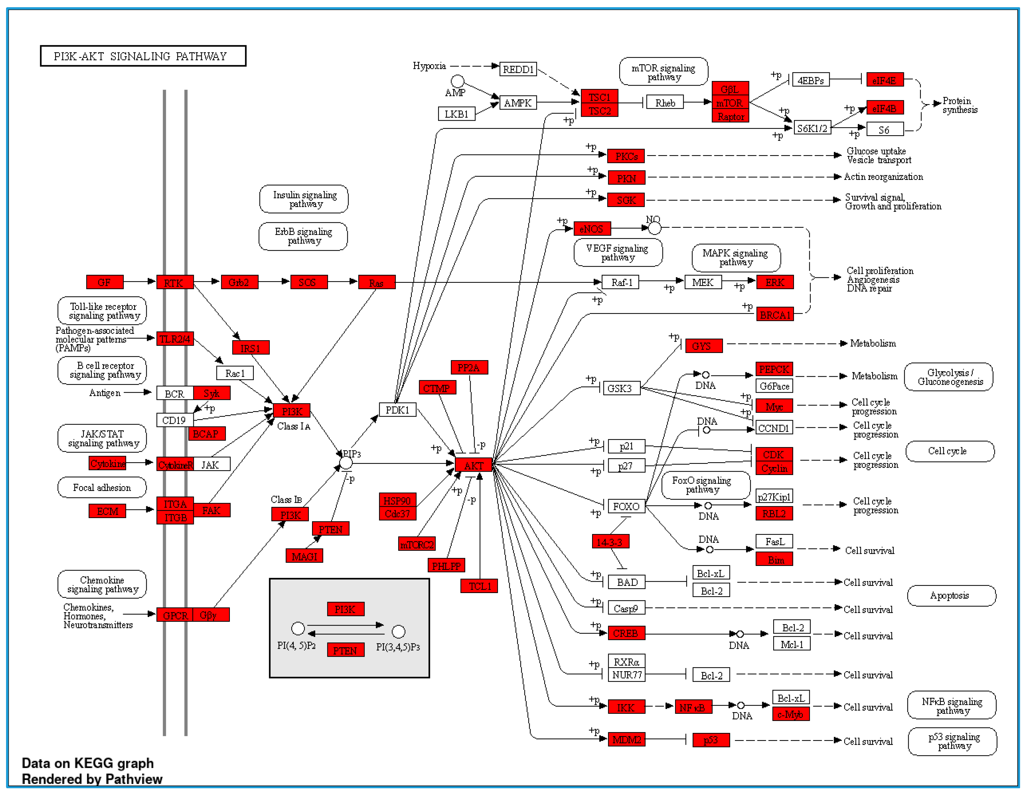 Nutrients 16 00877 g004 Nutrients 16 00877 g004