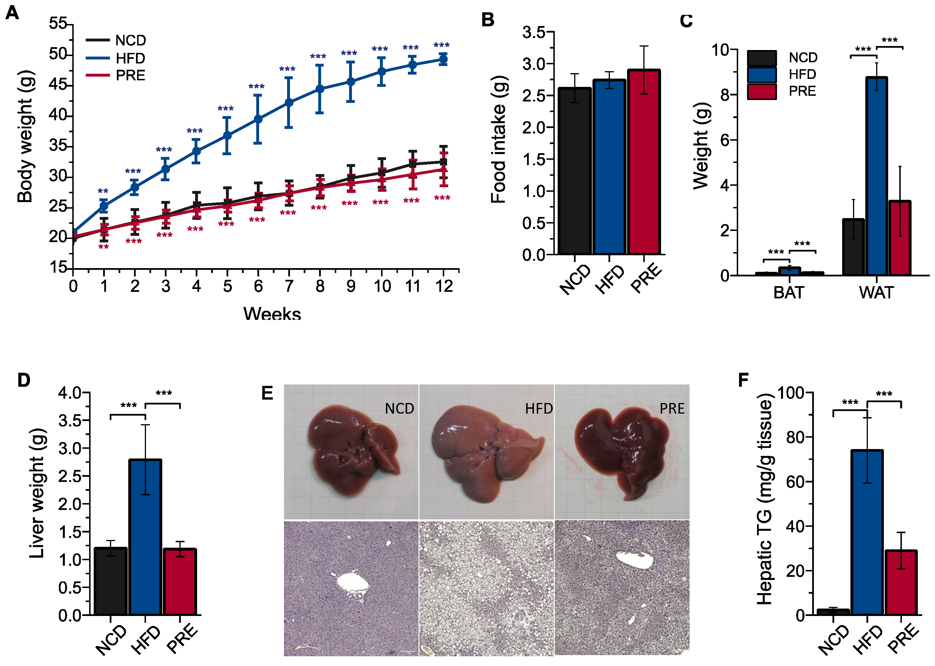 Nutrients 16 00893 g001