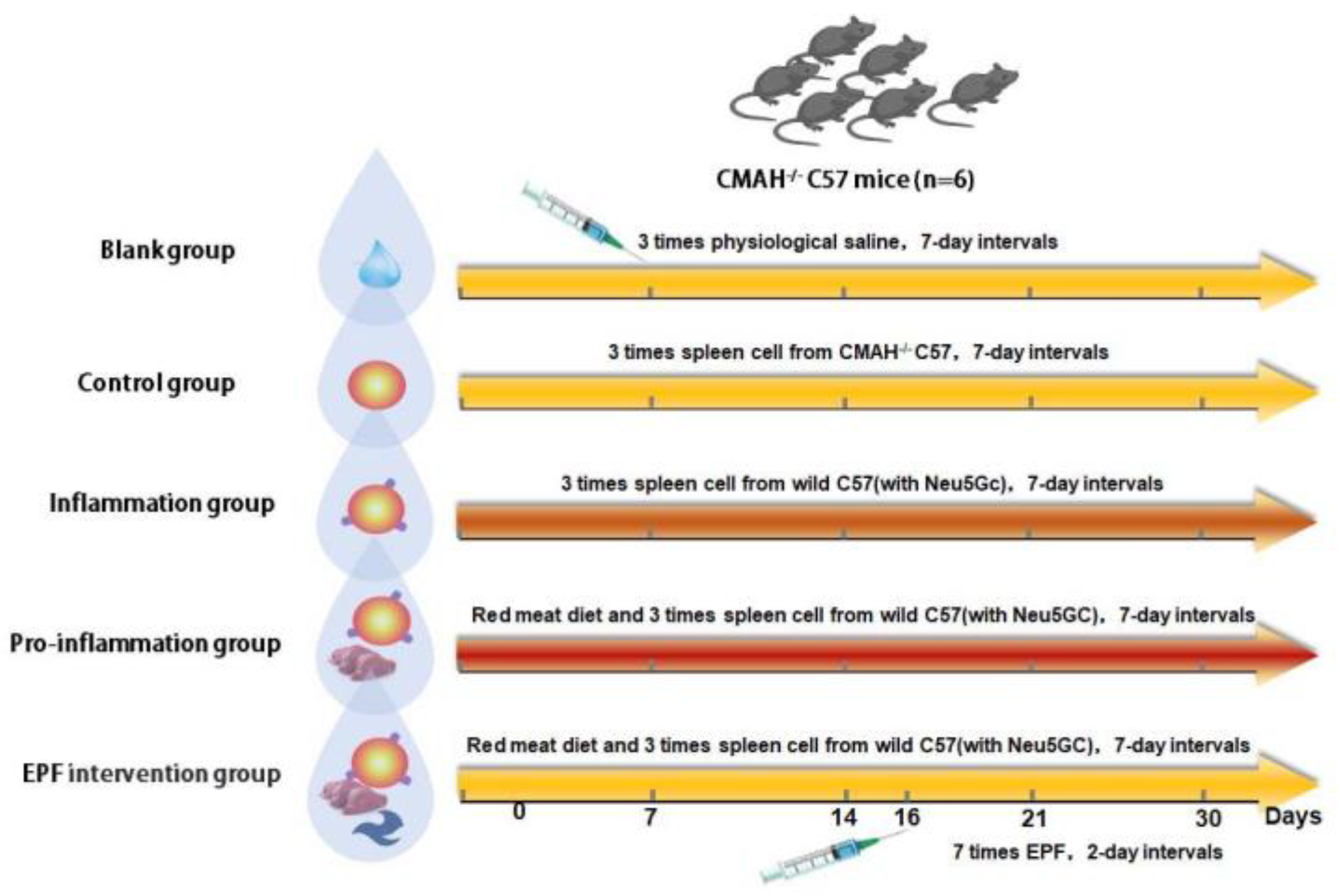 Nutrients 16 00905 g001