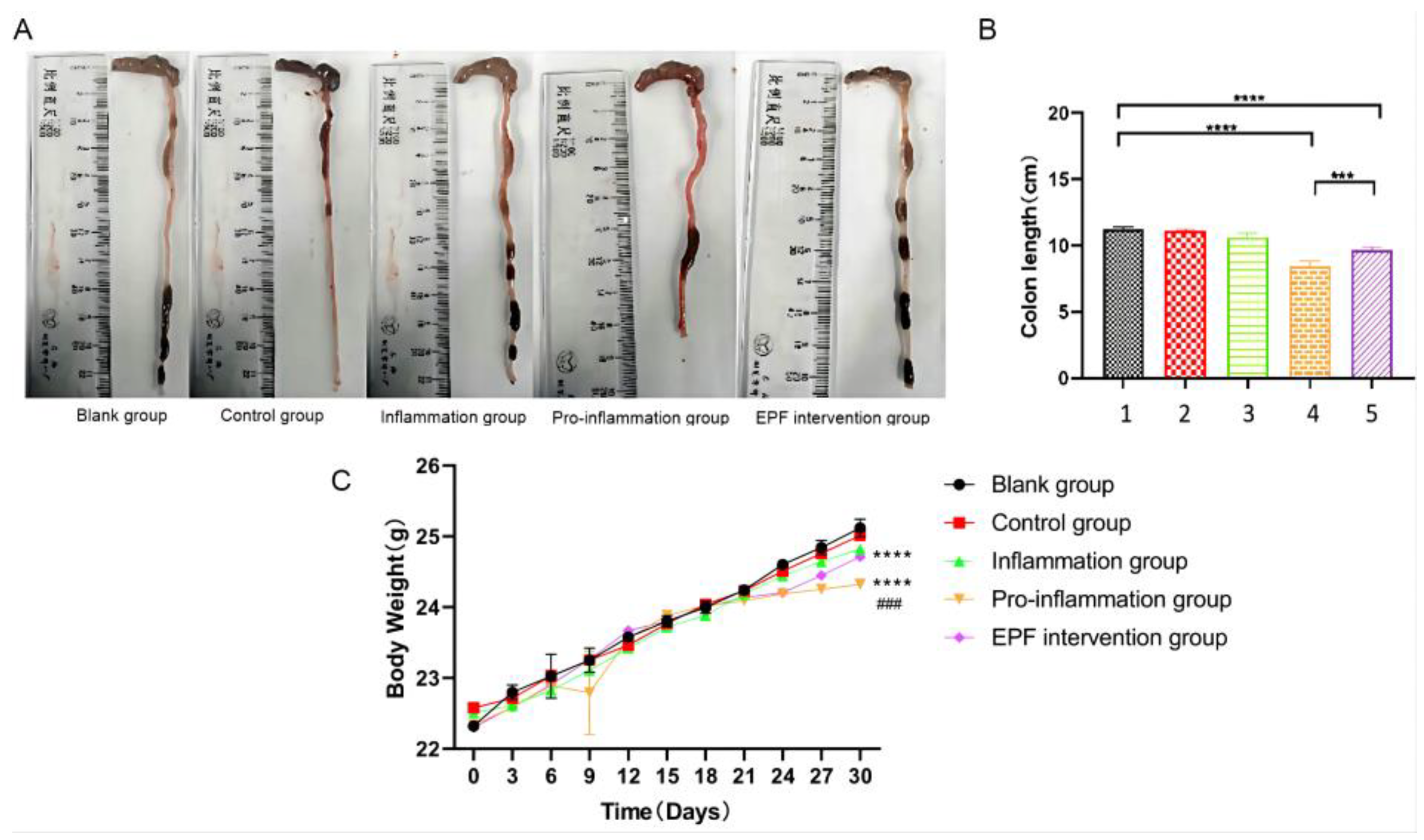 Nutrients 16 00905 g002