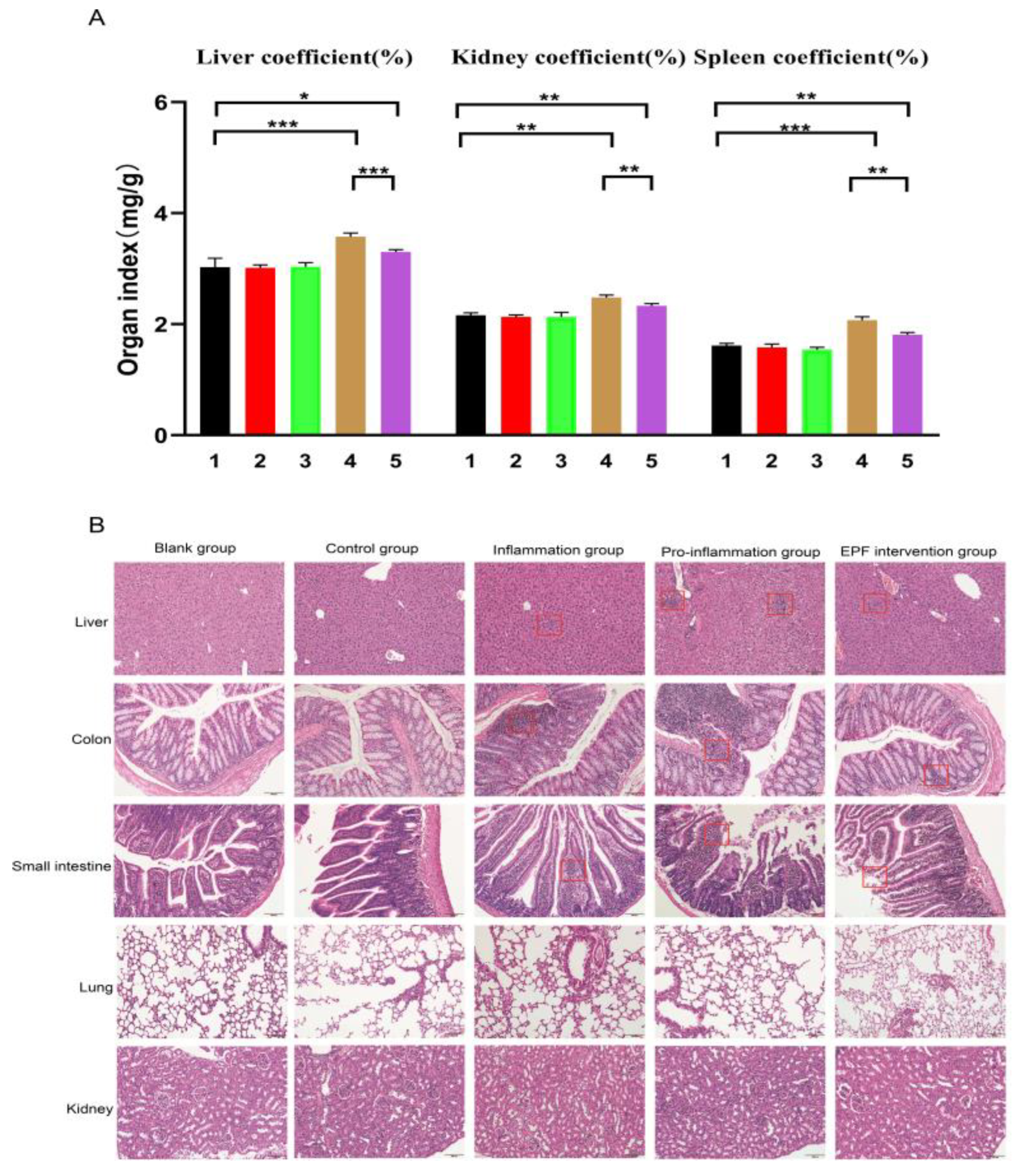 Nutrients 16 00905 g005