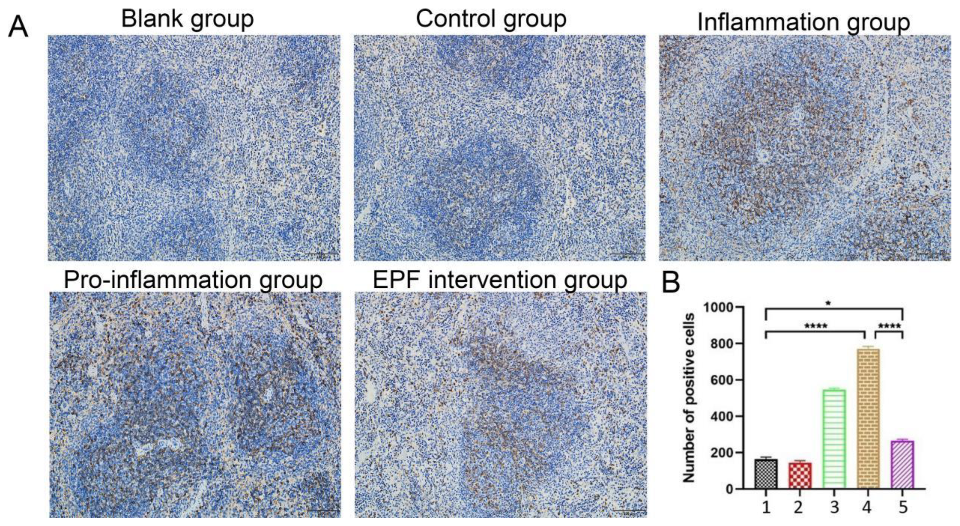Nutrients 16 00905 g006