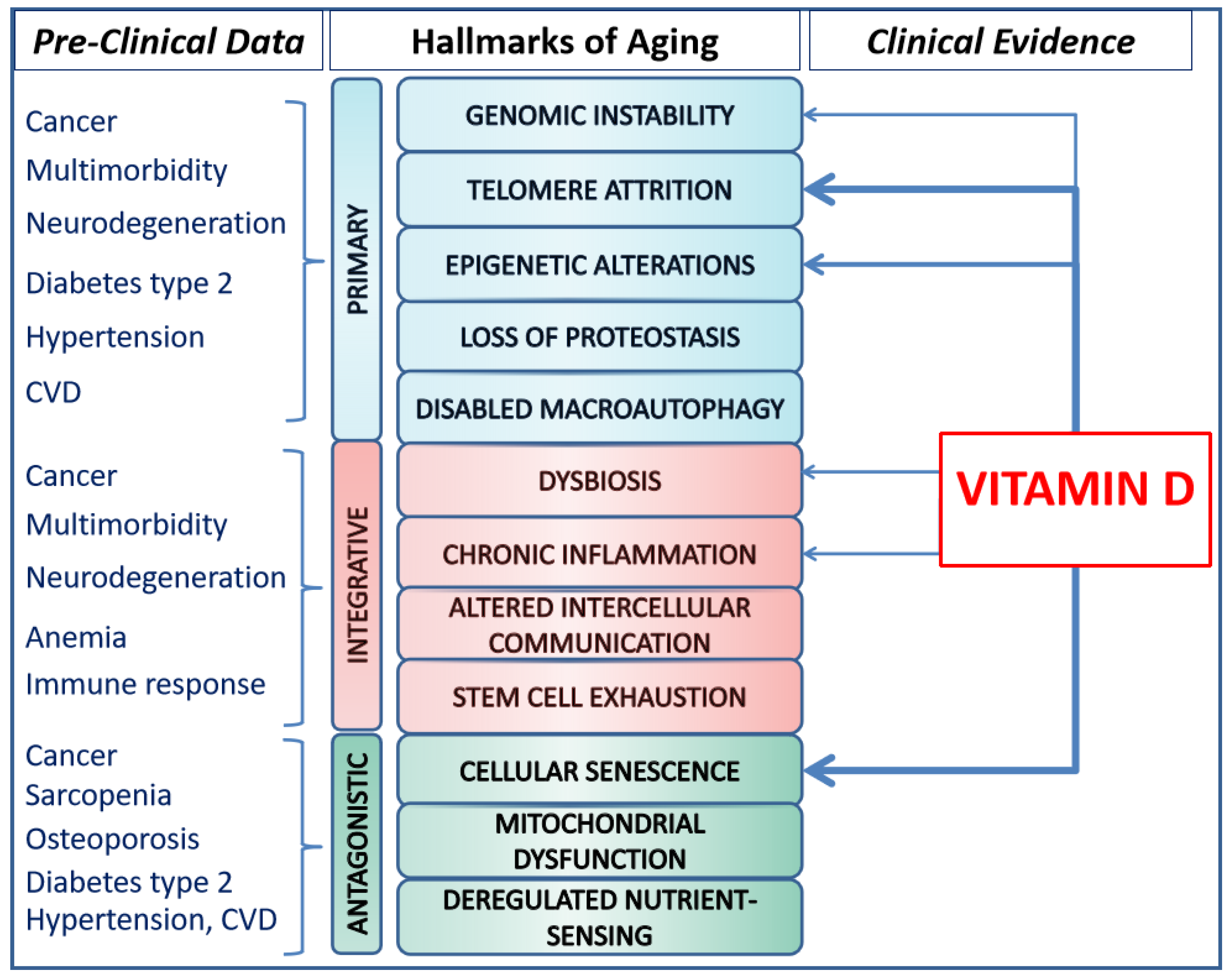 Nutrients 16 00906 g001
