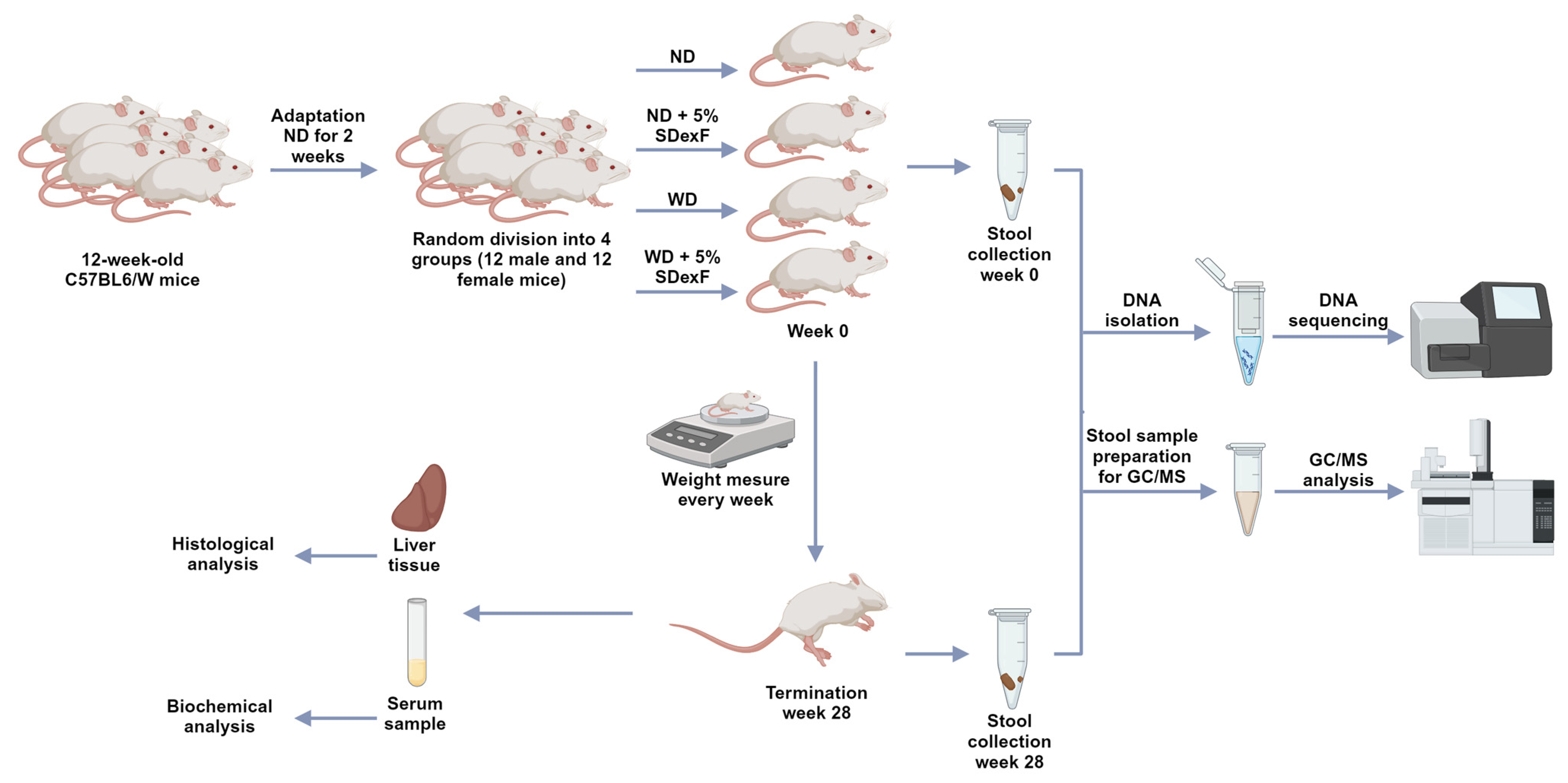 Nutrients 16 00917 g001