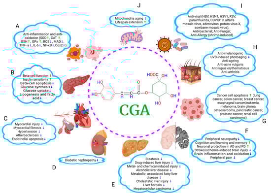 Nutrients 16 00924 g001