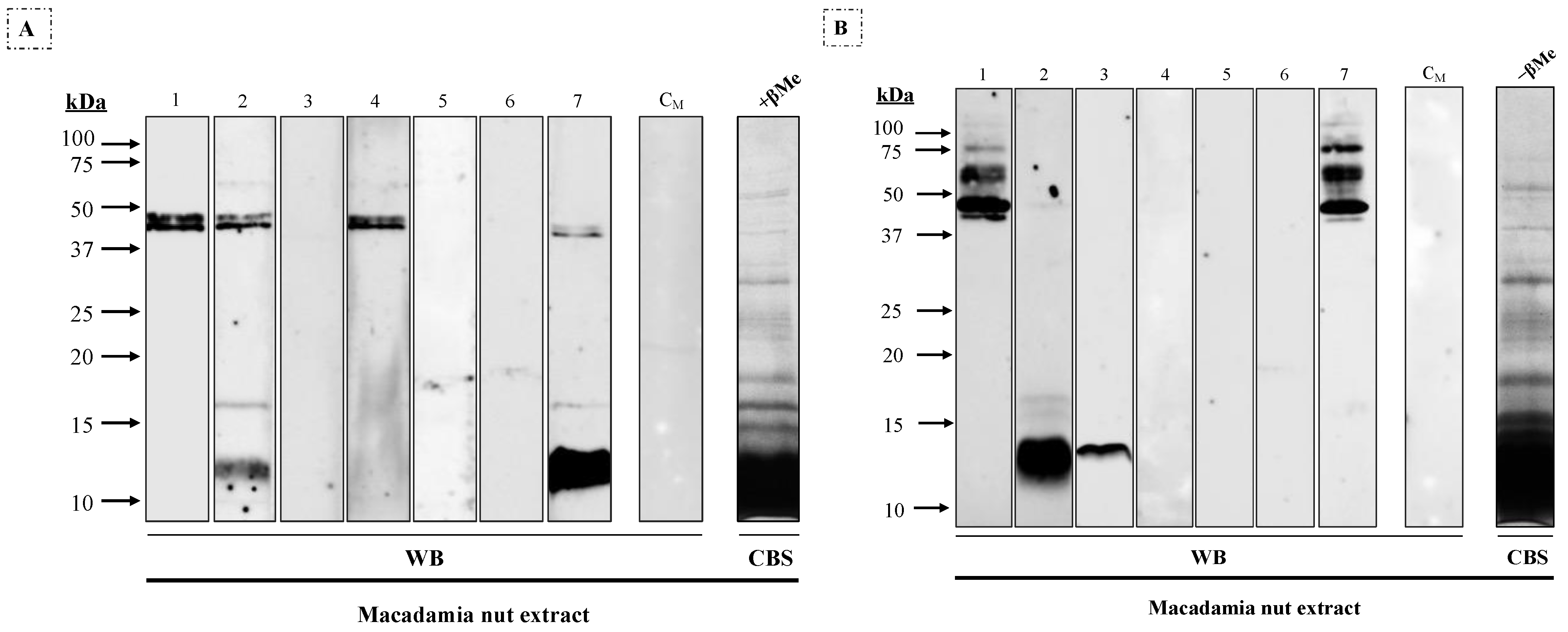 Nutrients 16 00947 g001