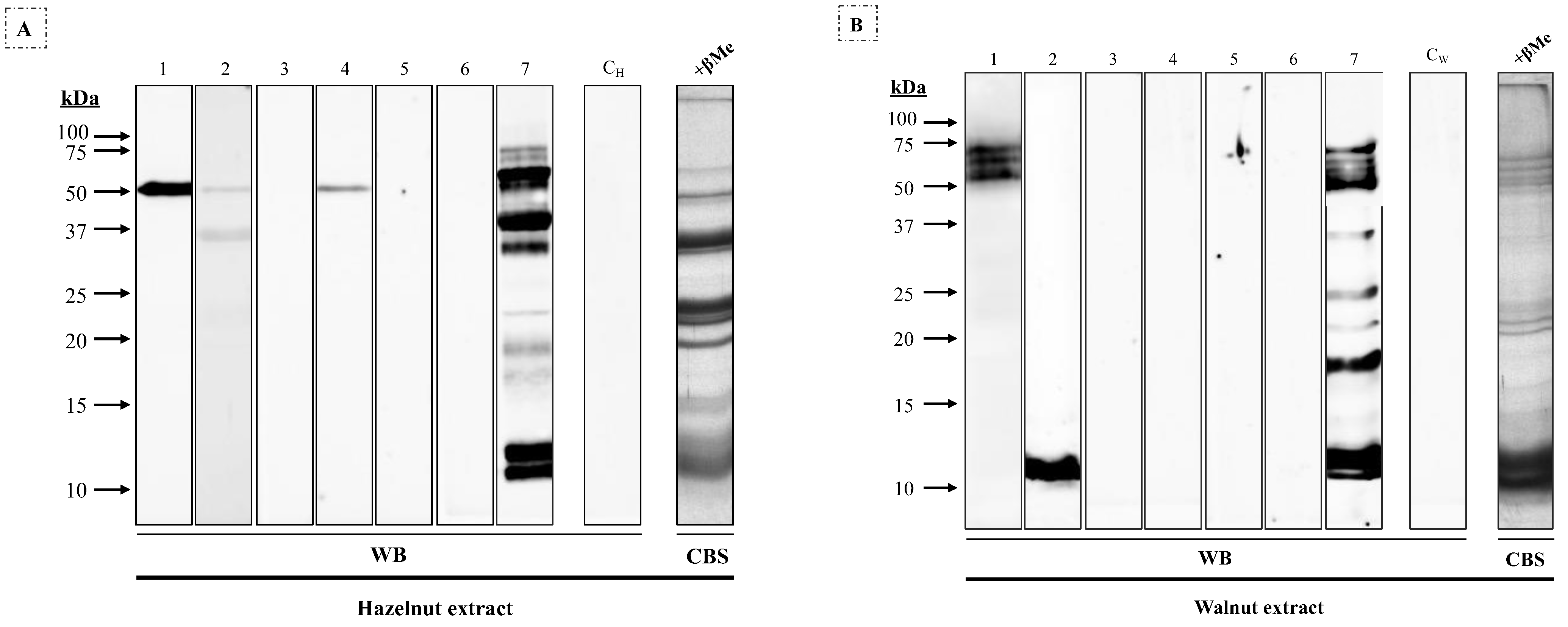 Nutrients 16 00947 g002