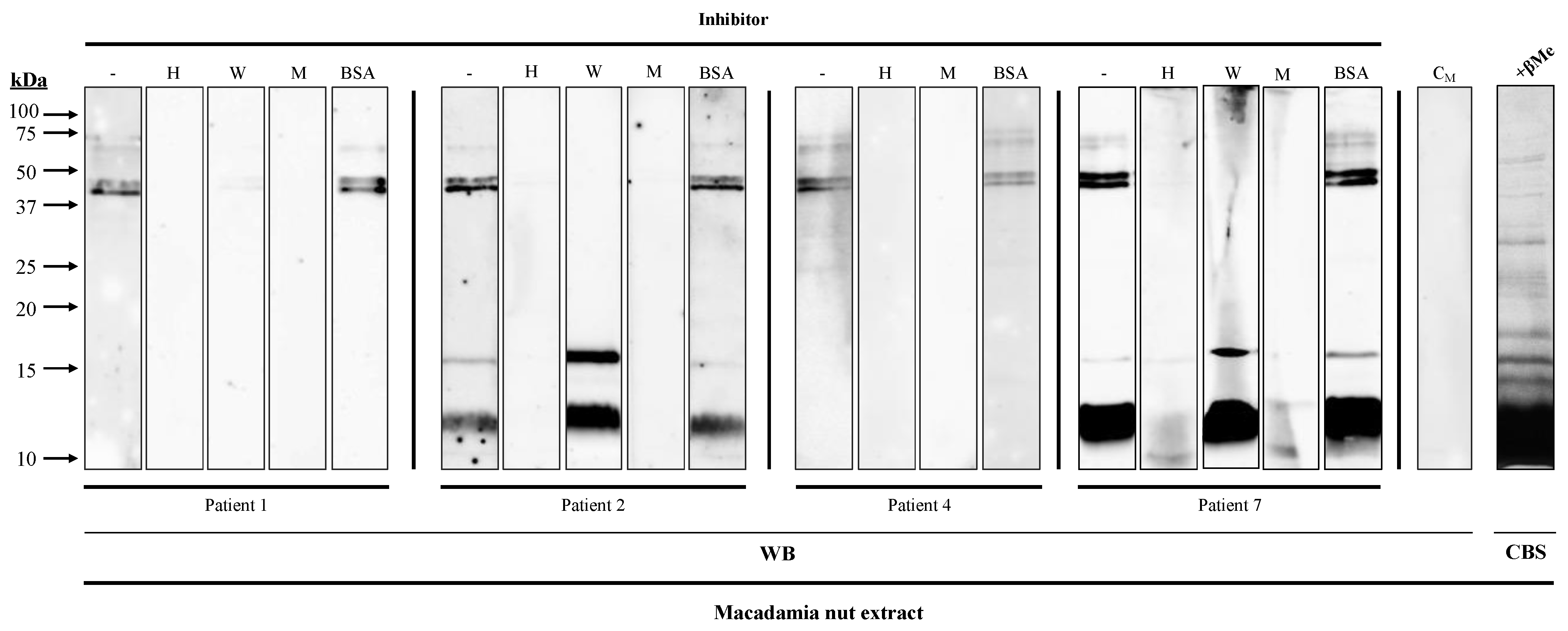 Nutrients 16 00947 g003