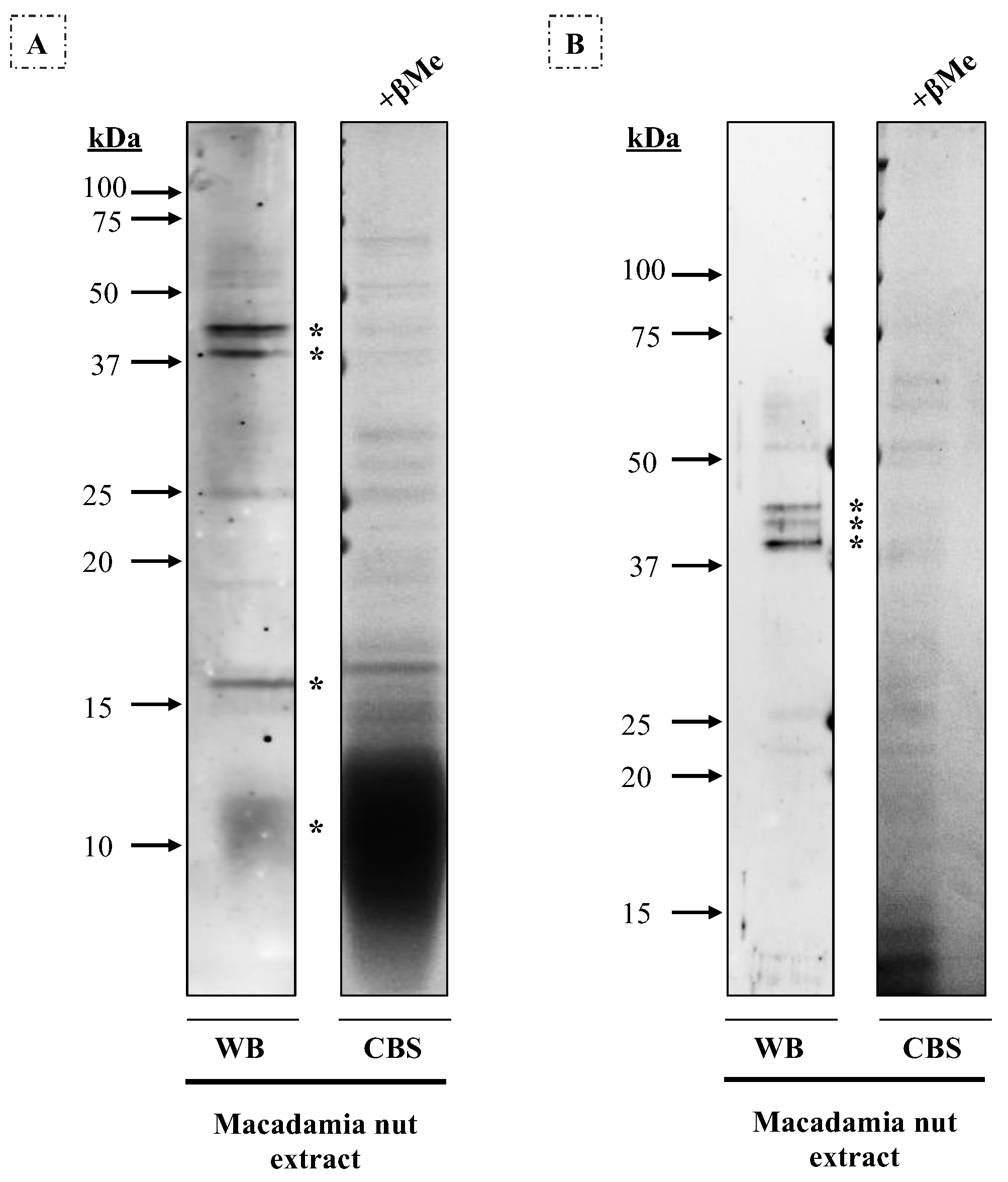 Nutrients 16 00947 g004