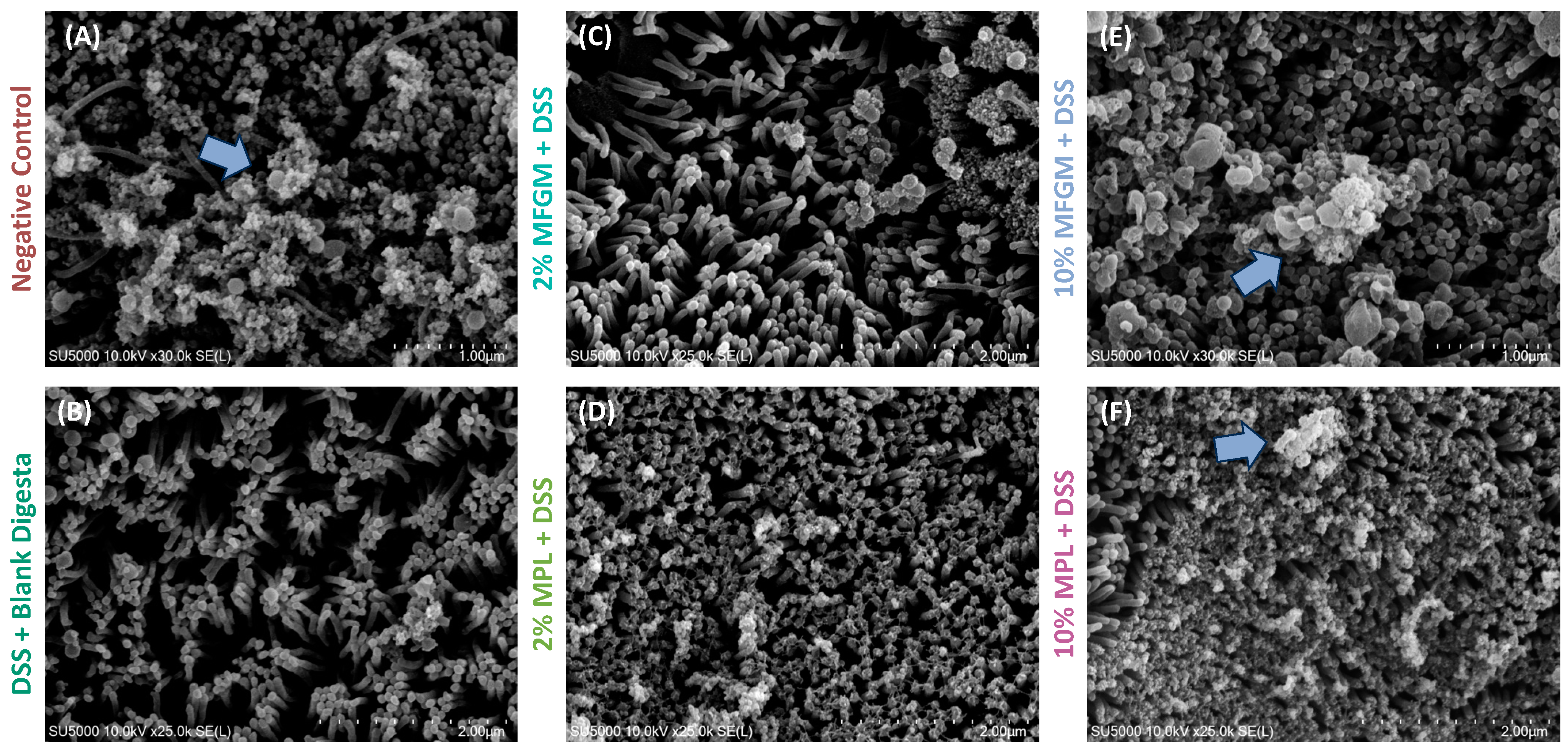 Nutrients 16 00954 g004 Nutrients 16 00954 g004