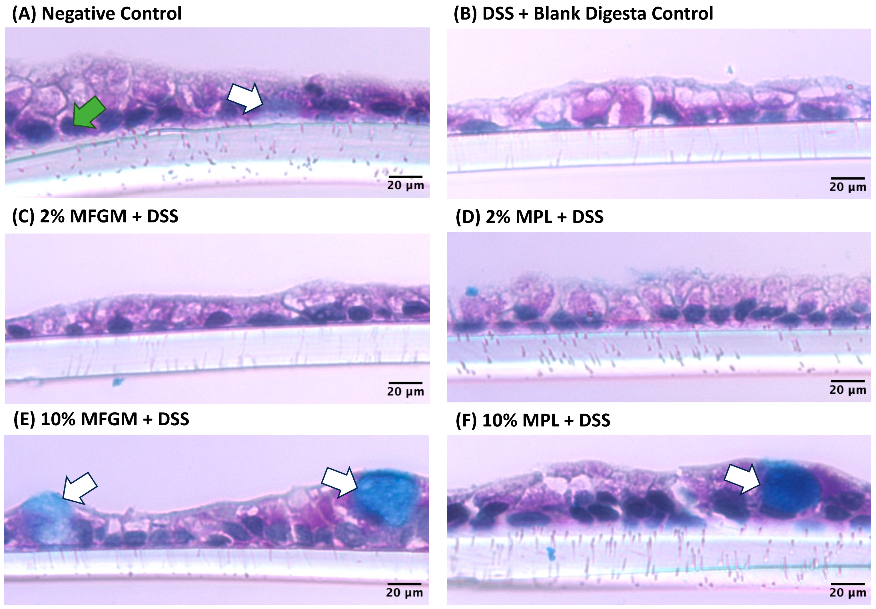Nutrients 16 00954 g005 Nutrients 16 00954 g005