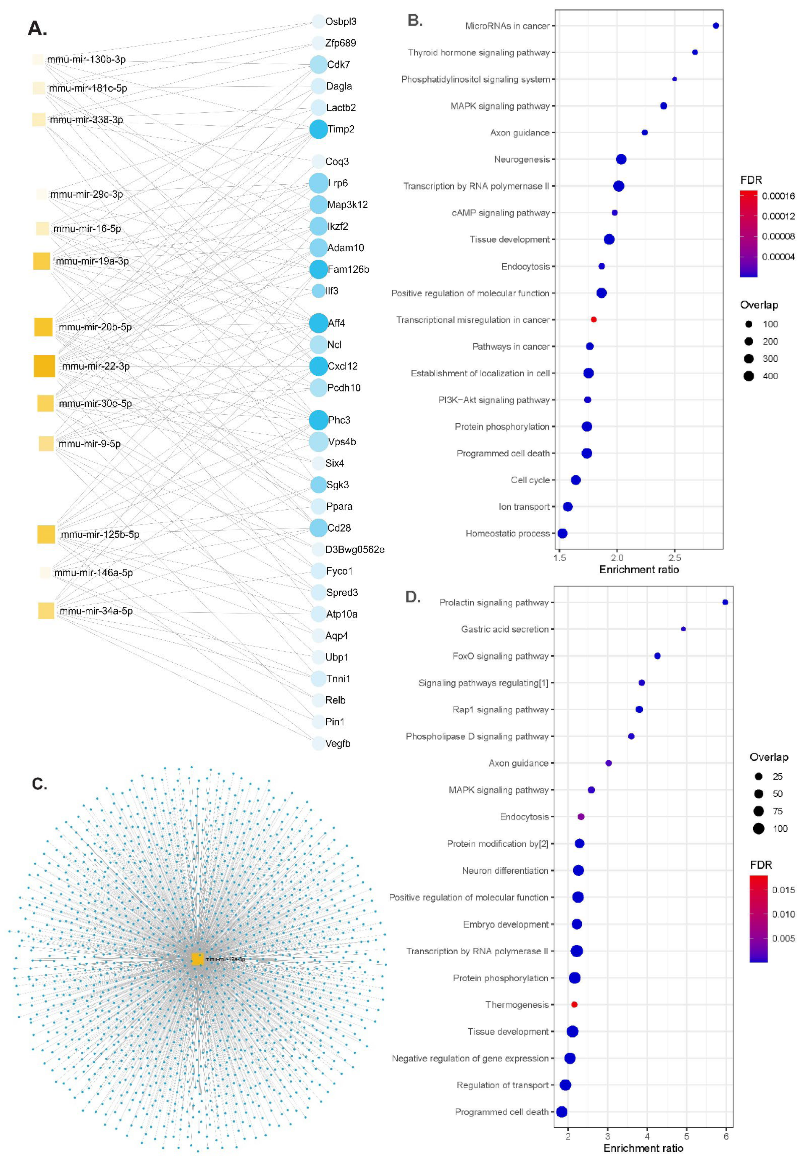 Nutrients 16 00955 g004
