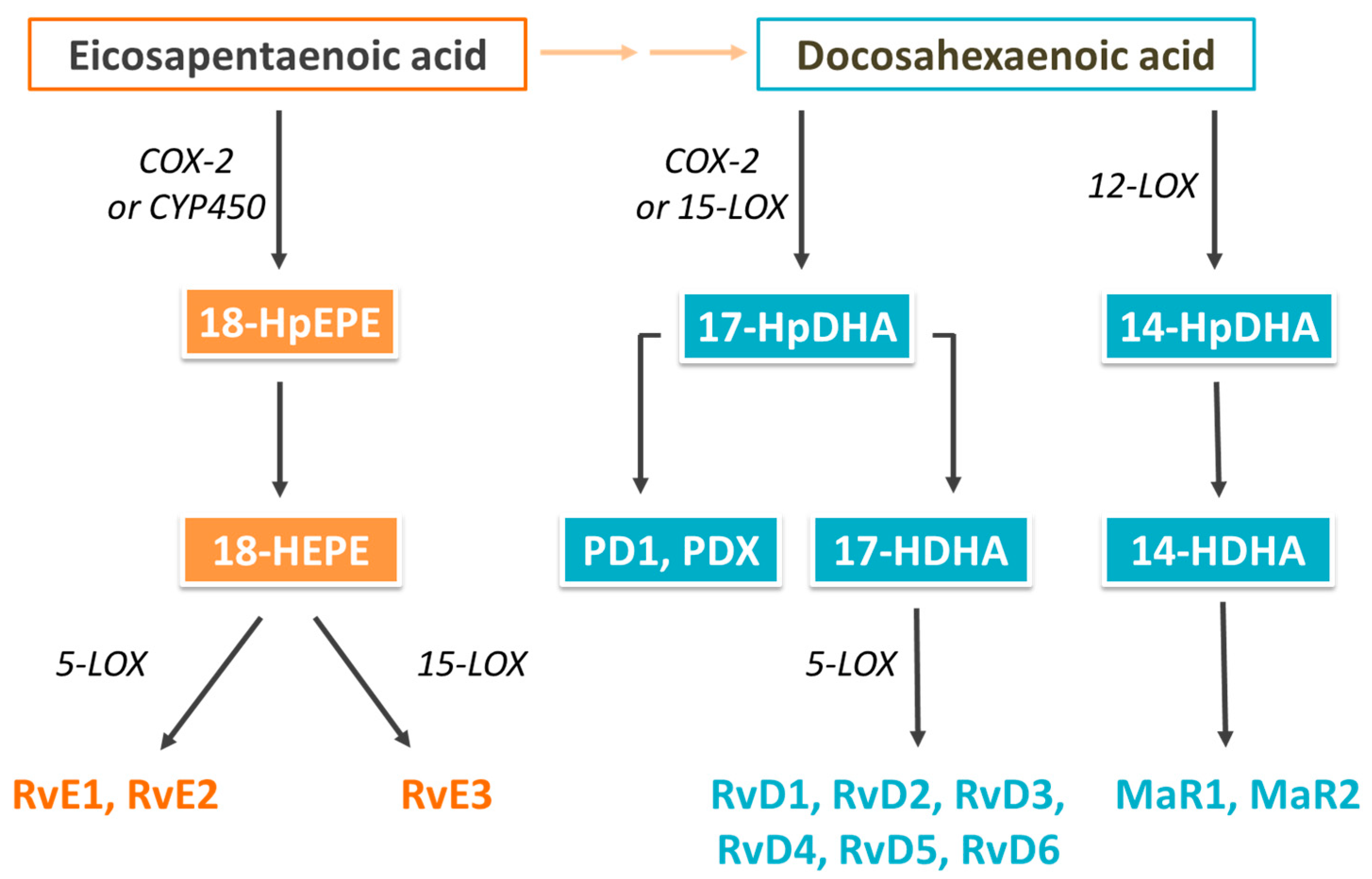 Nutrients 16 00962 g001