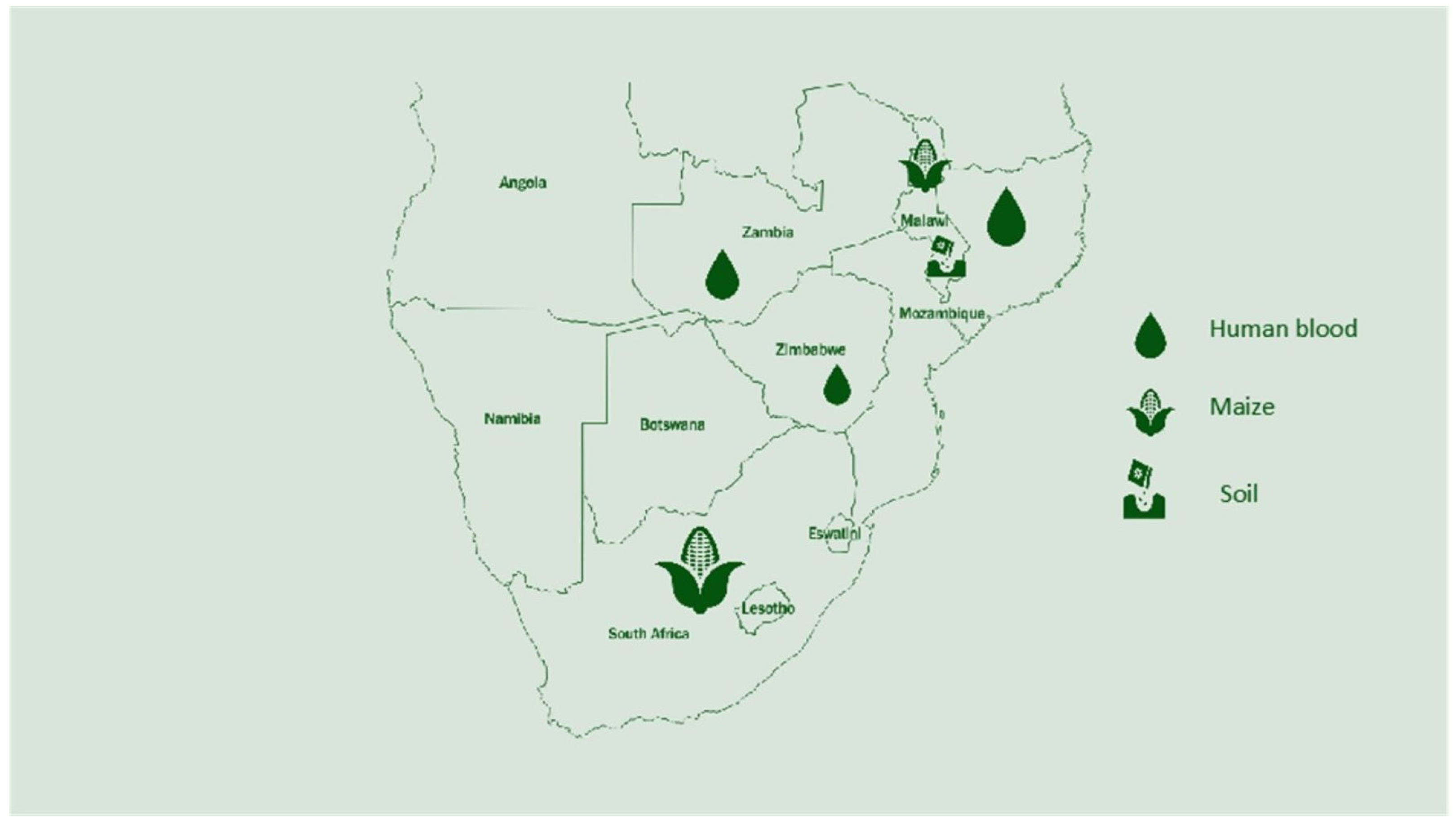 Nutrients 16 00975 g002