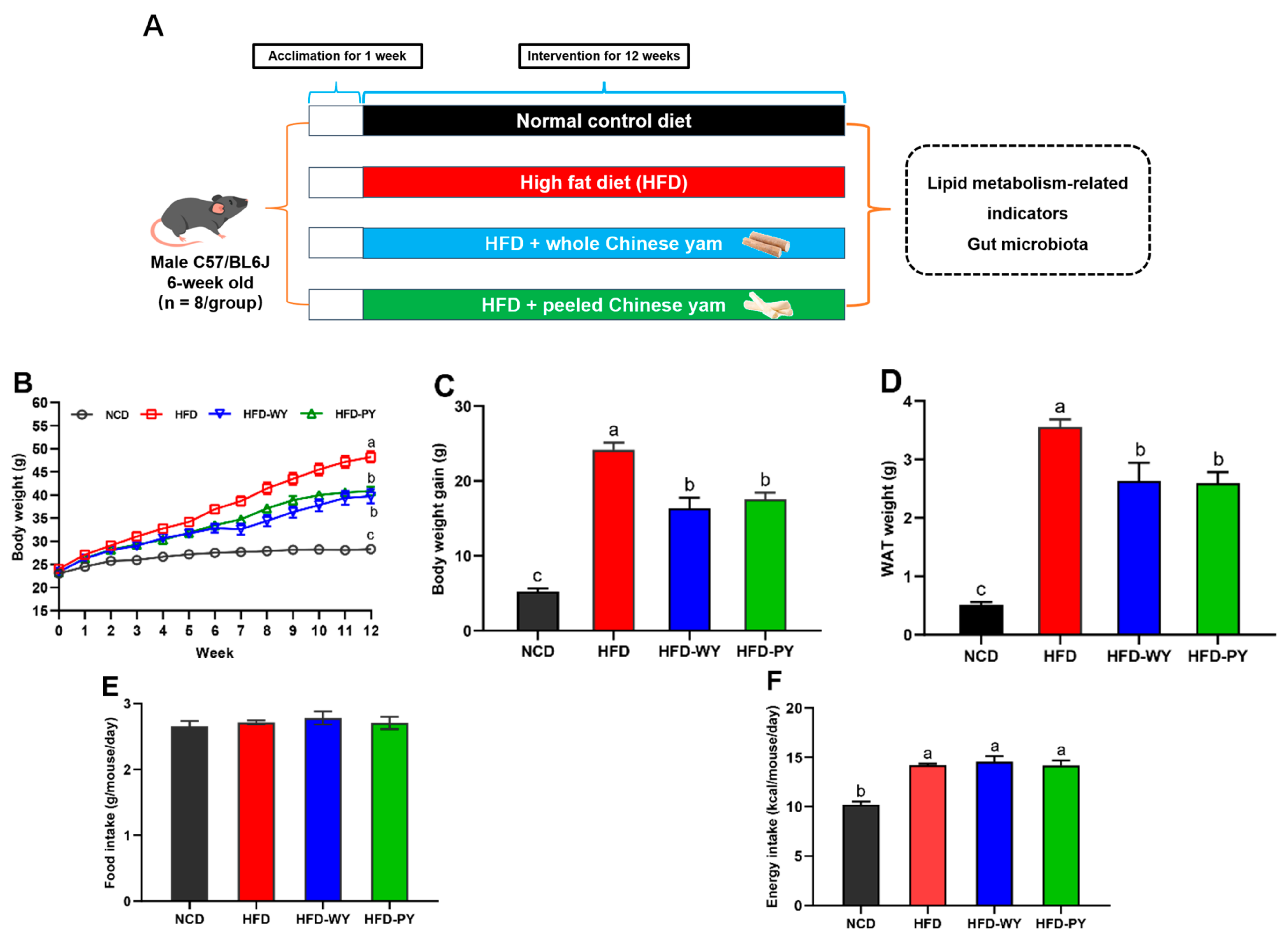 Nutrients 16 00977 g001