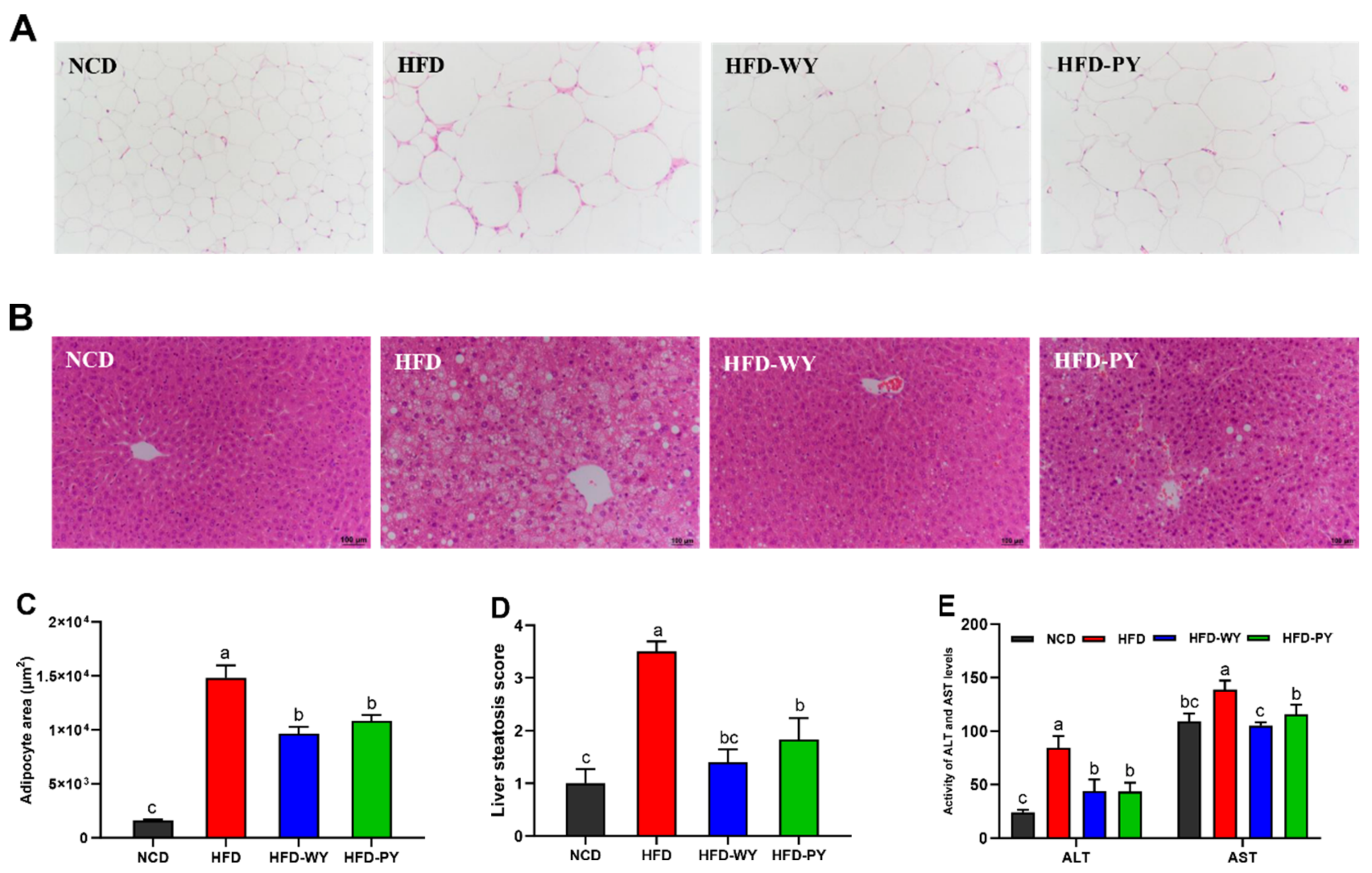 Nutrients 16 00977 g003